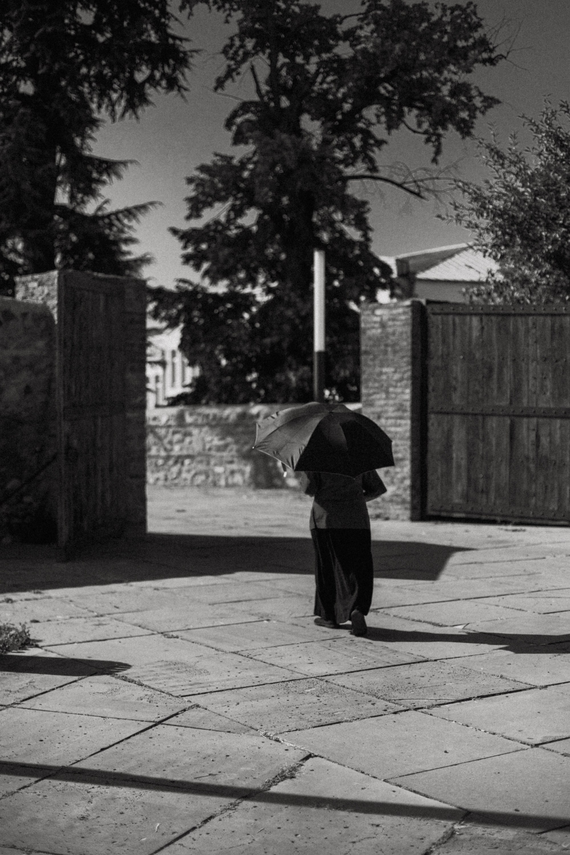 Грузинские каникулы. Violetta Skripka