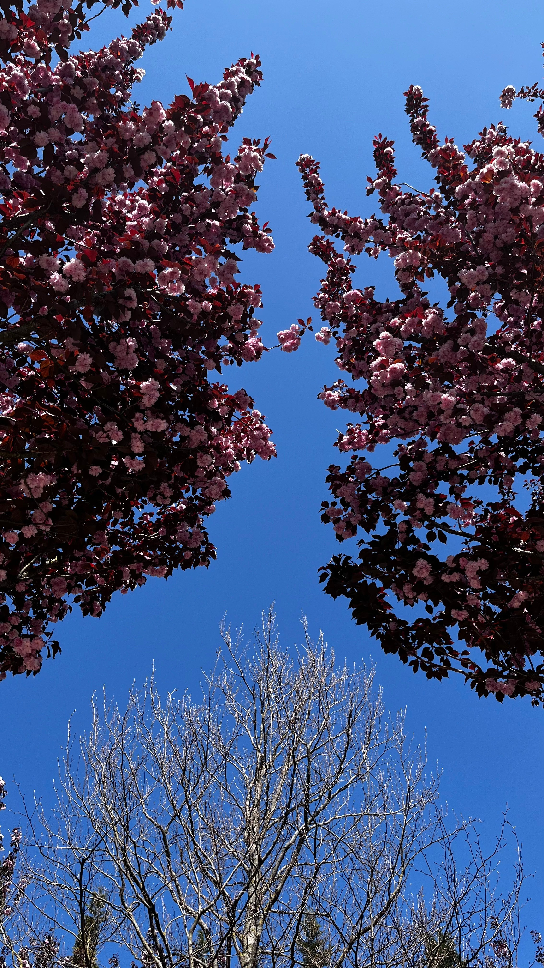 КРАСНОДАР. Портретный и лавстори фотограф в Стерлитамаке Альбина Шарт