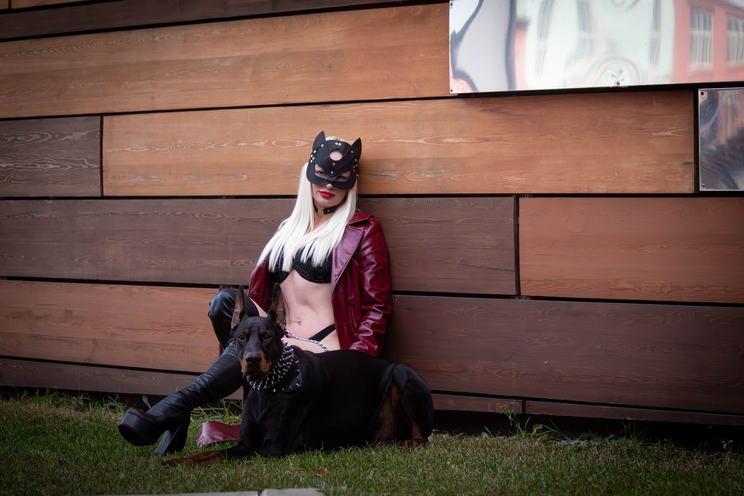 Фотосессии с животными Тула. Фотограф анималист — Тула, Москва