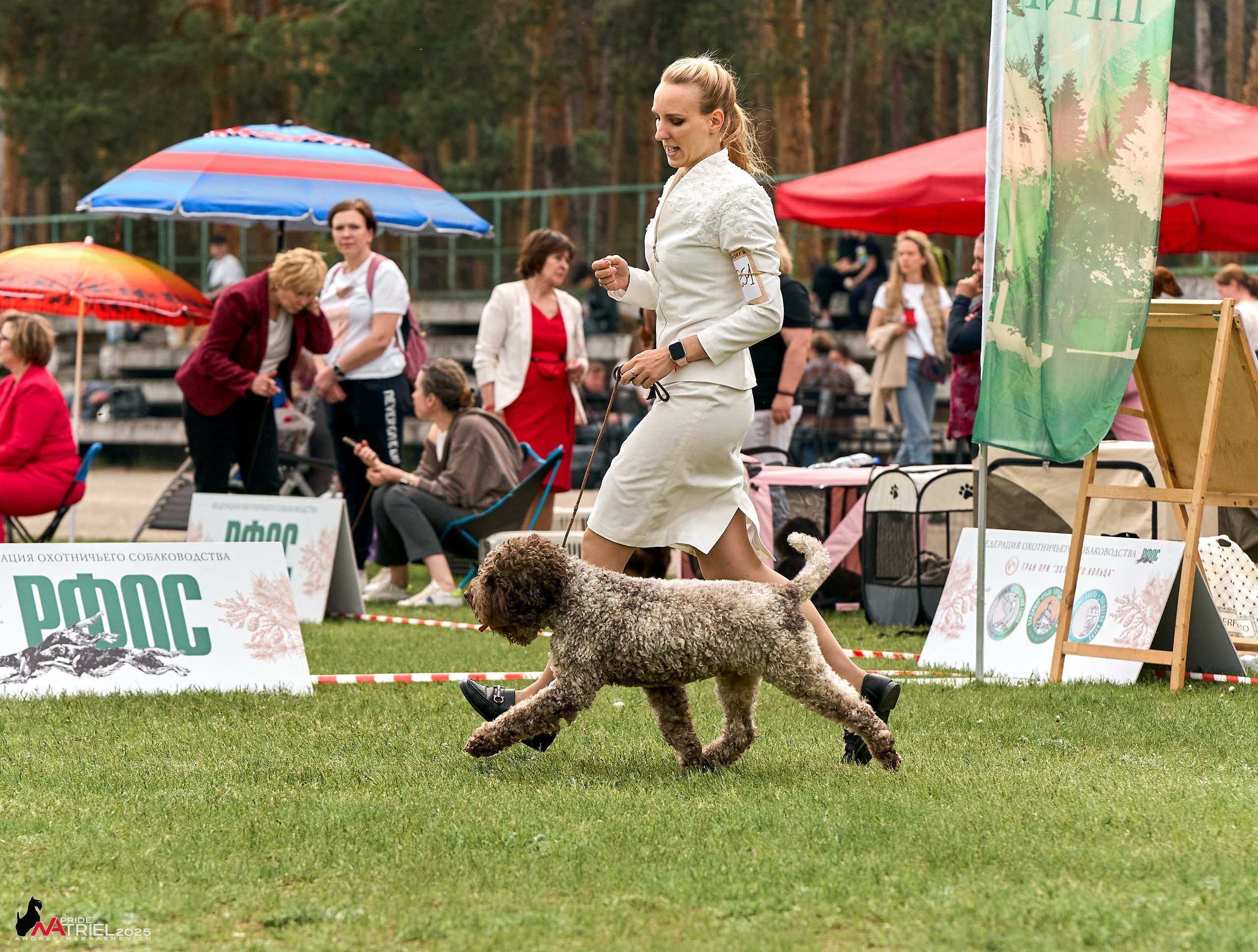 Выставка собак Суздаль-Владимир