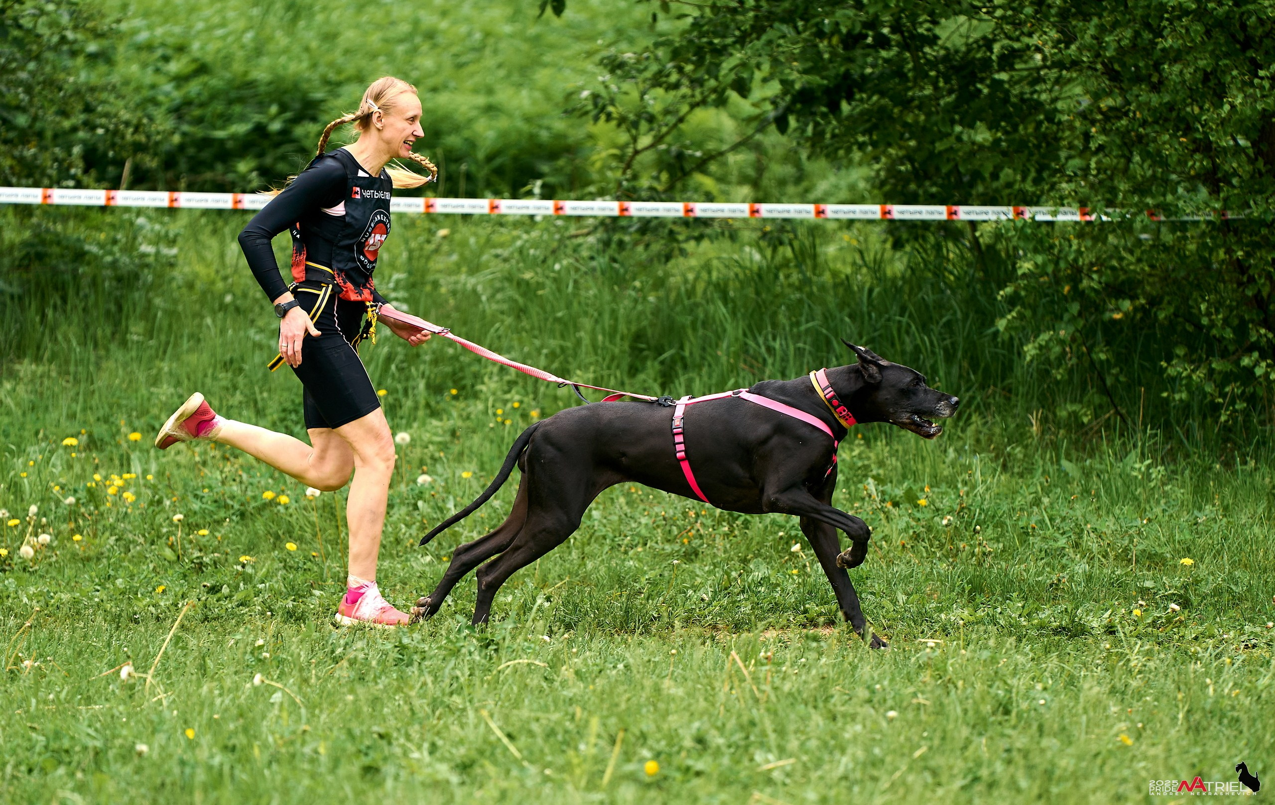 Russian Extreme Dog Trail — 2025