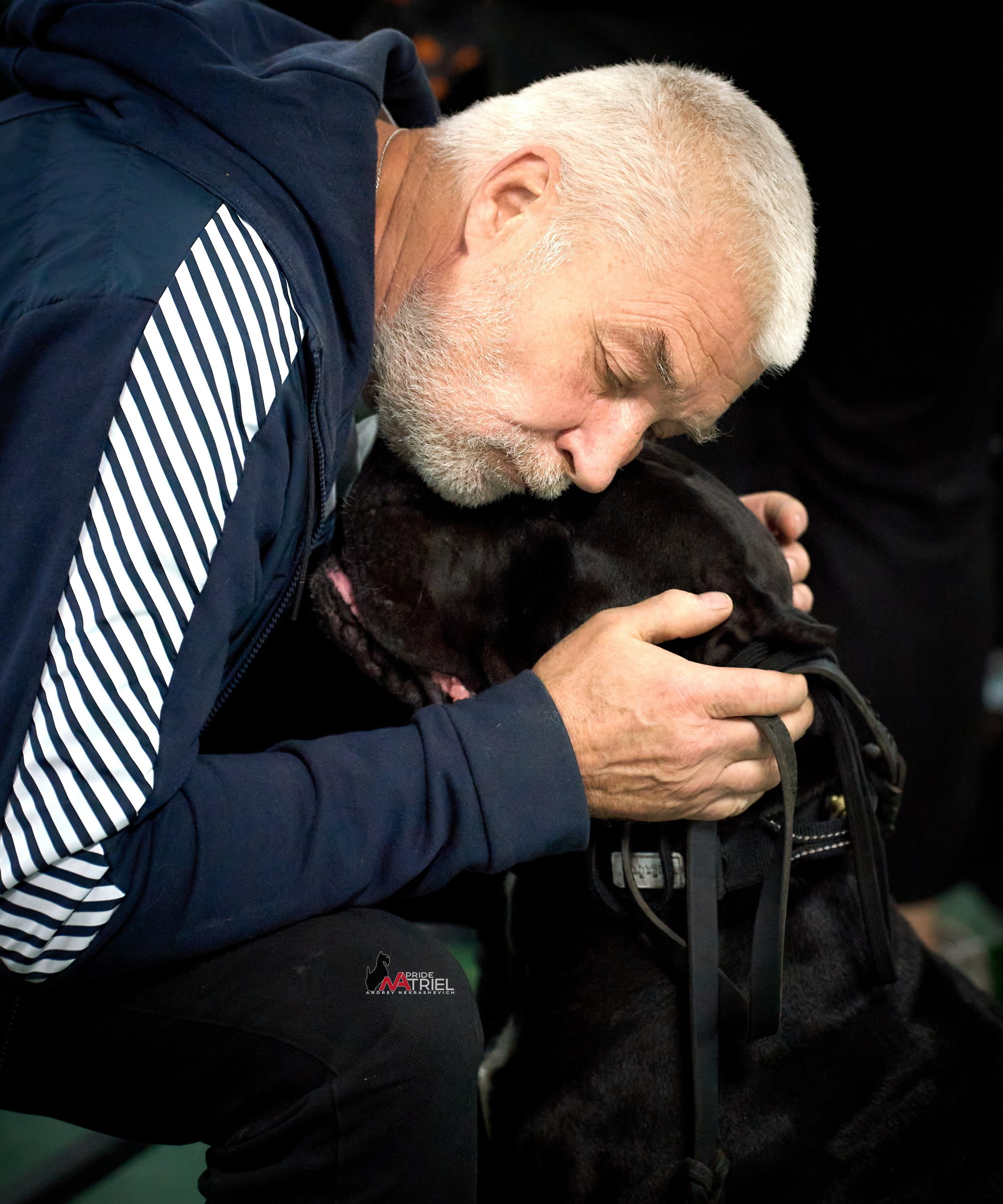 Собаки и Люди — галерея NATRIEL