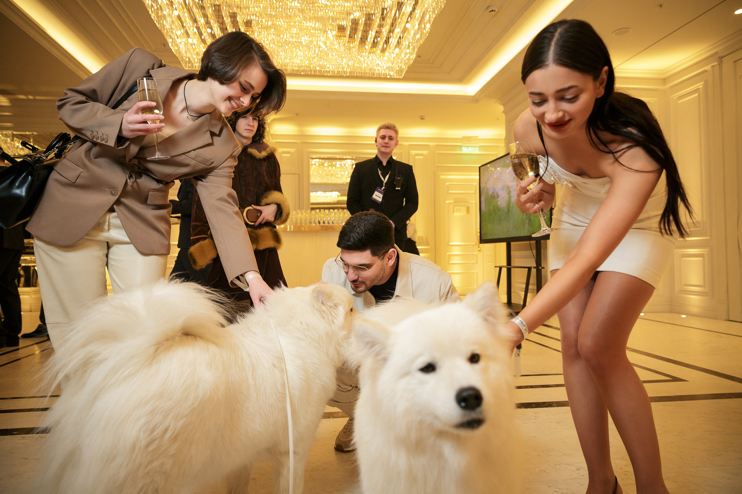 День рождения клуба «Деньги» 6 лет 2025. Репортажный Фотограф Александр Назаров. Москва и М.О