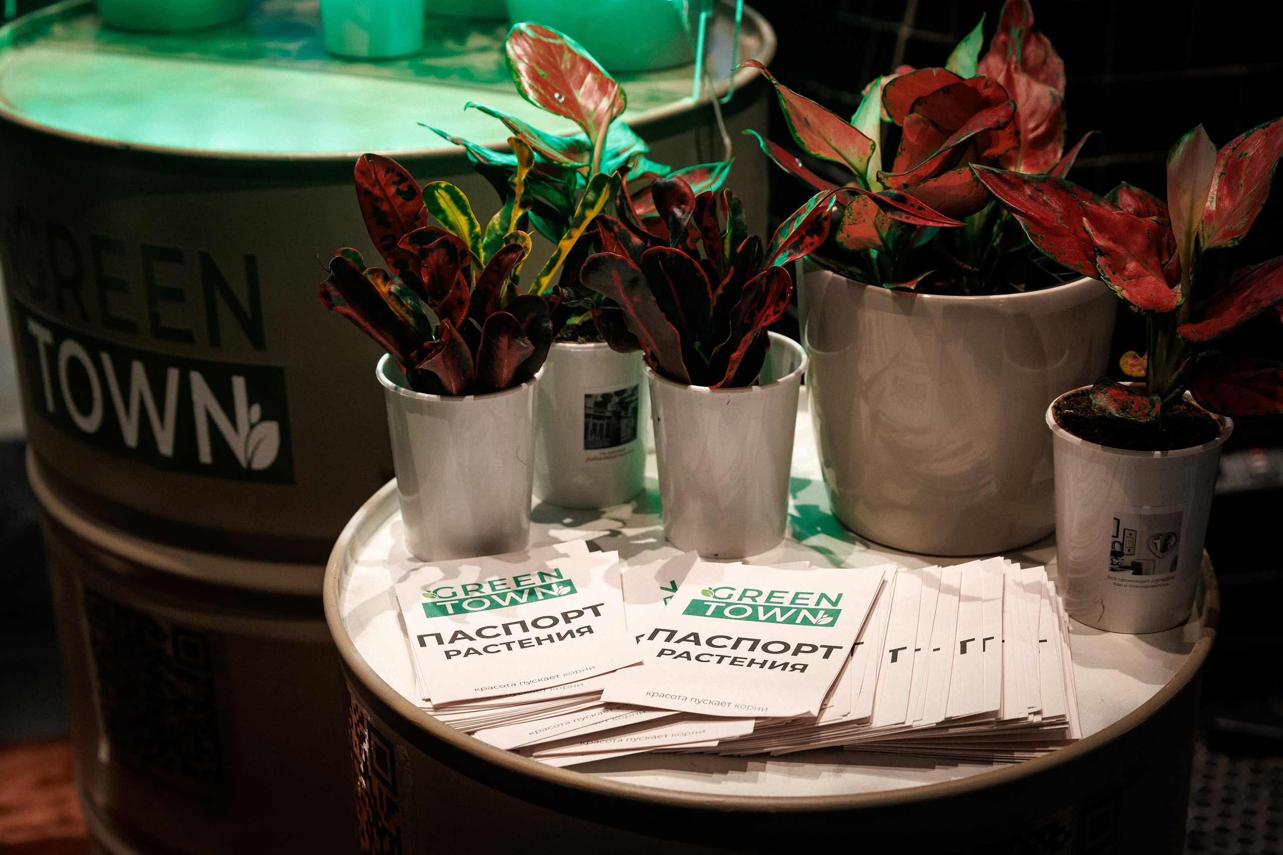 Премия журнала «Триггер» Топ 100