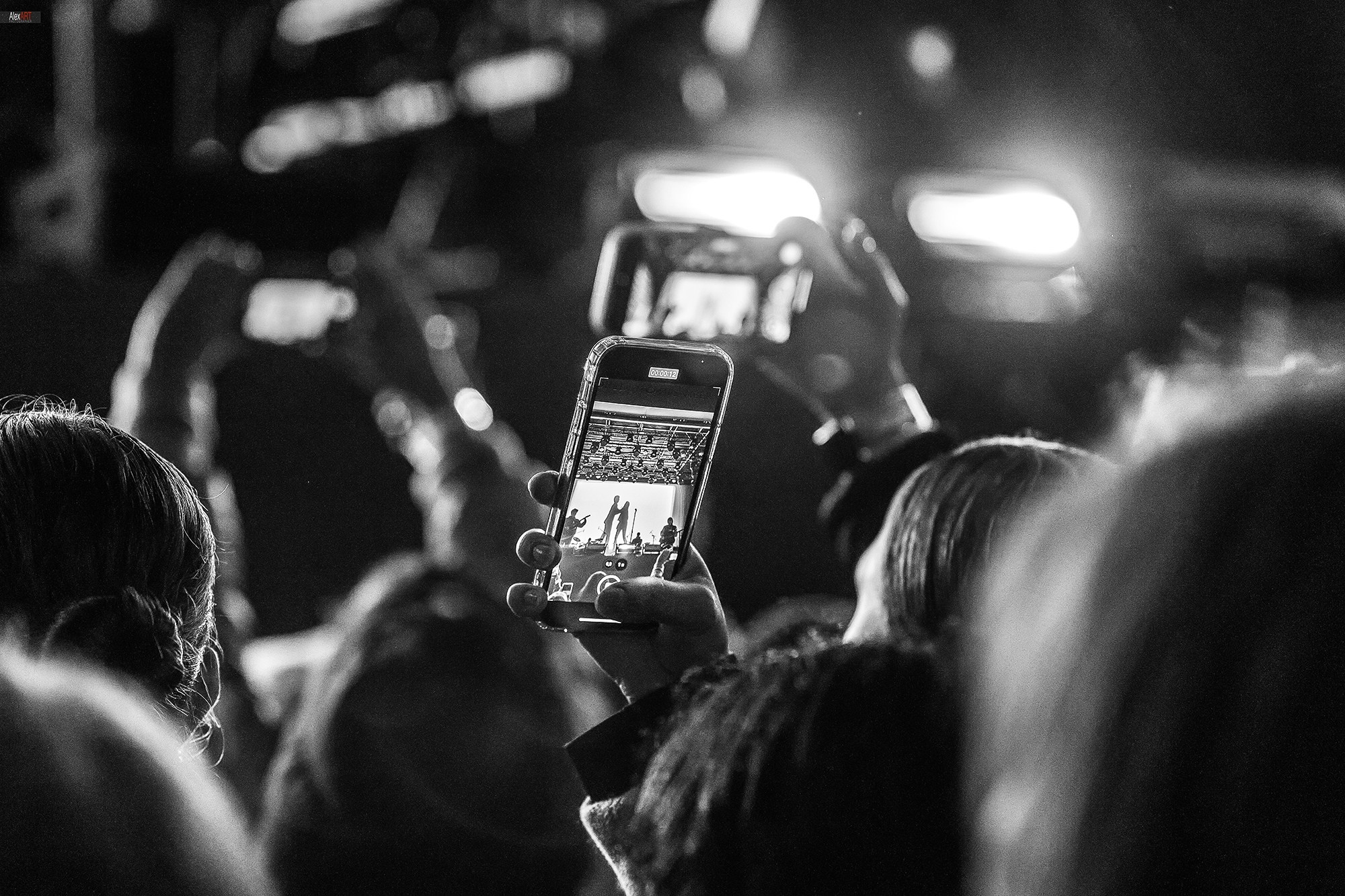 CONCERTS. AlexART | Film