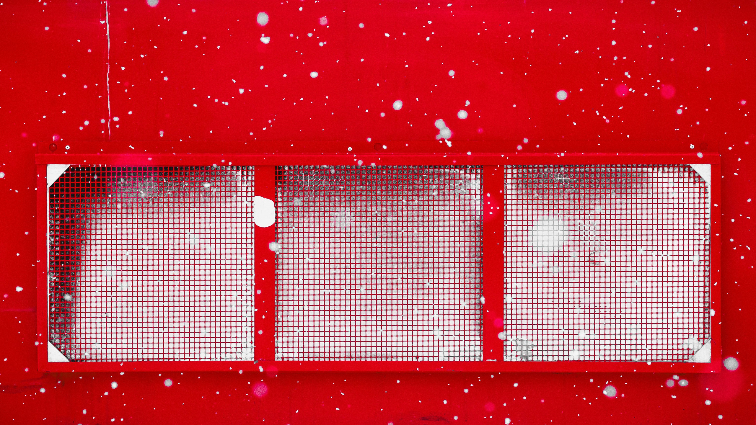 RED. Красный и точка. Олег Романов. Мастер фото по спорту