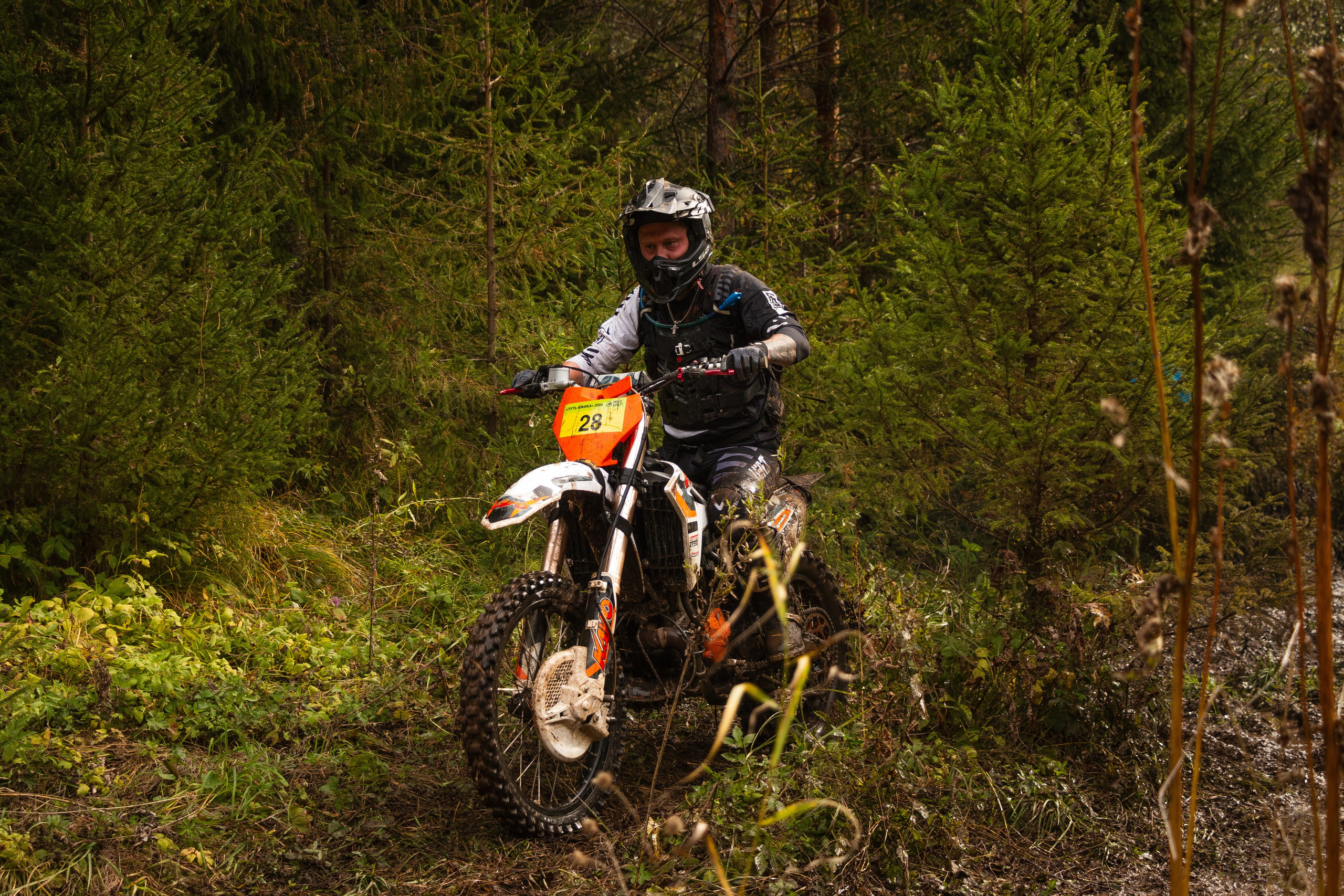 Путь Ижика. 2024. Олег Романов. Мастер фото по спорту