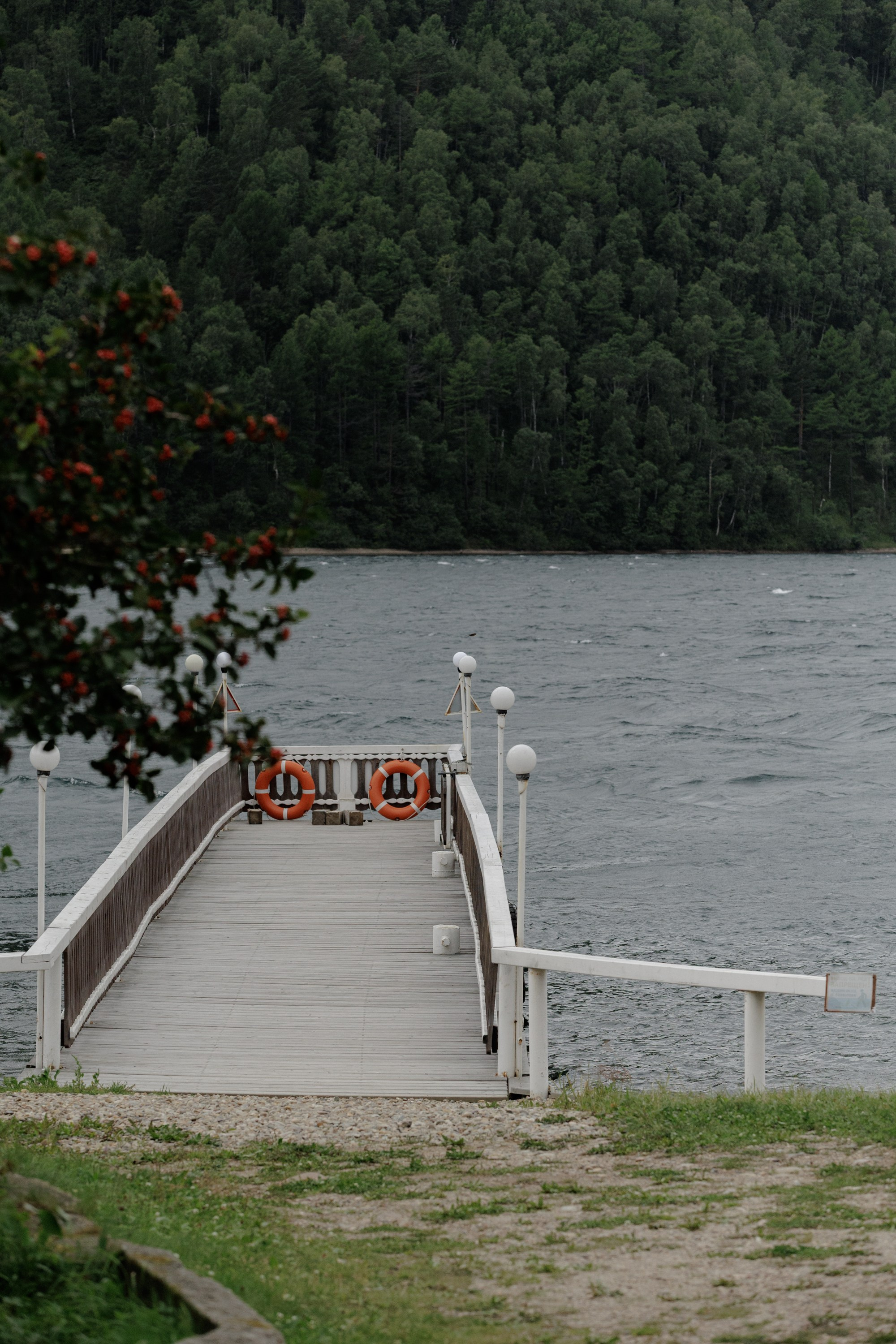 Леонид и Милена. Свадебный фотограф