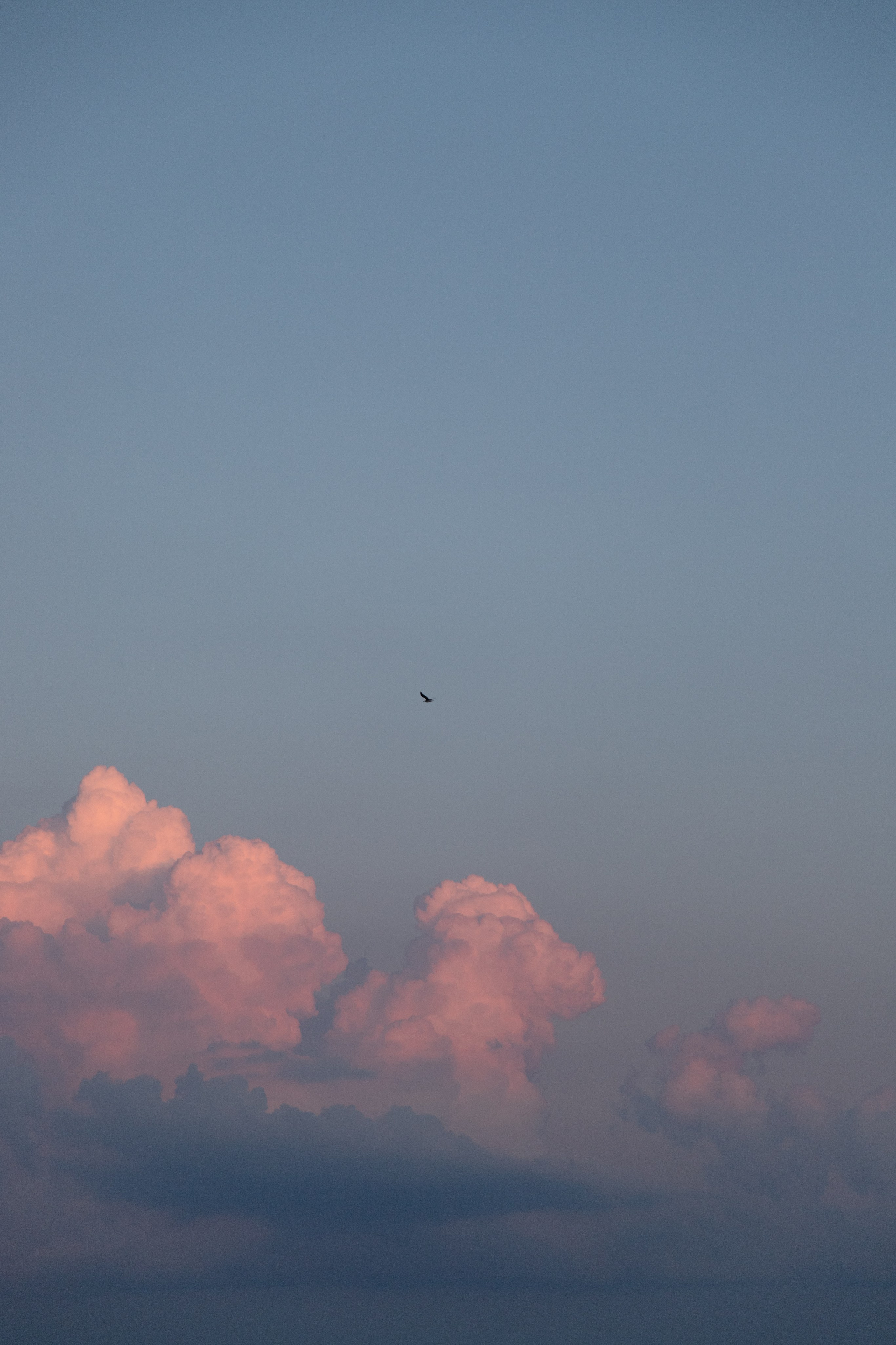 Светлана / escape