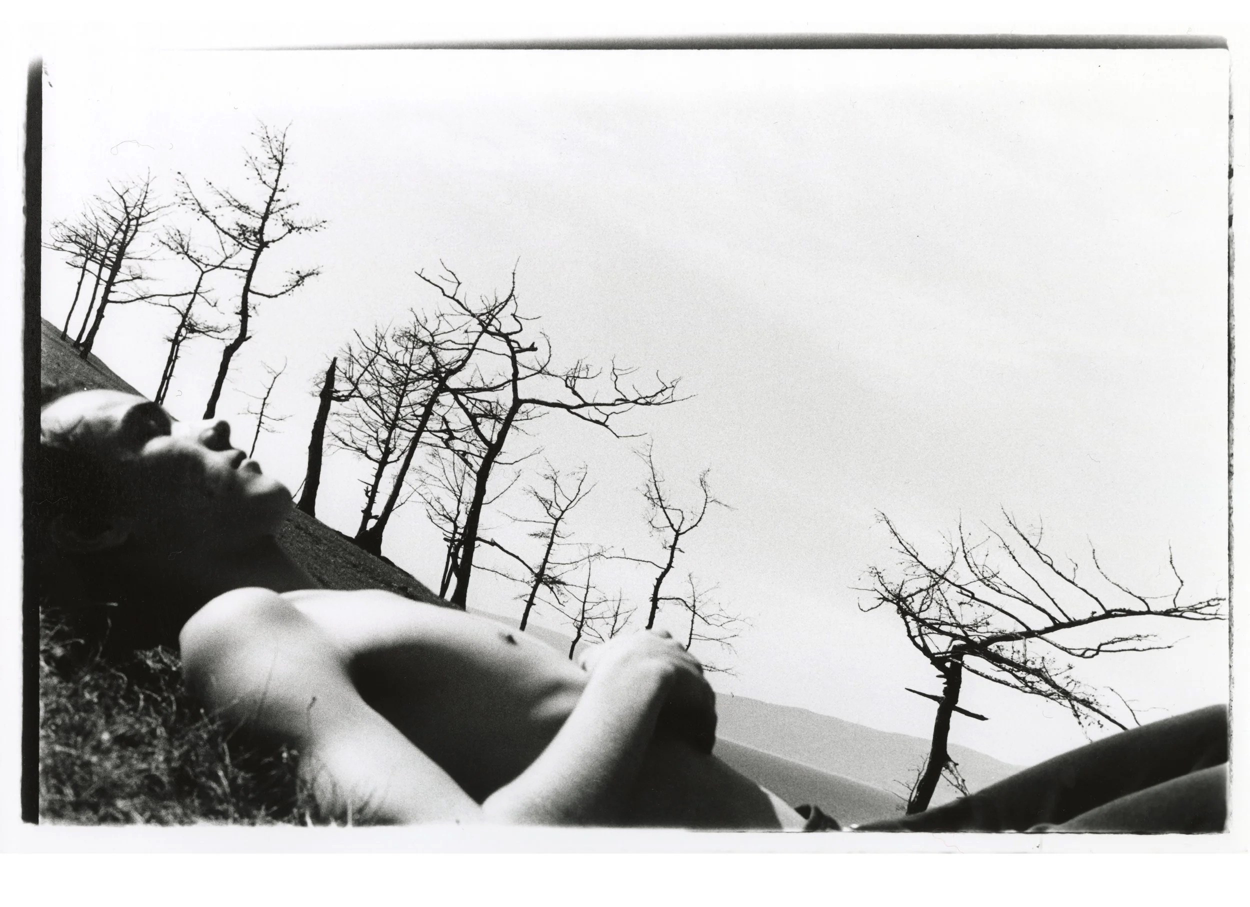 Проект Маргариты Галандиной «Ovoo». Private image