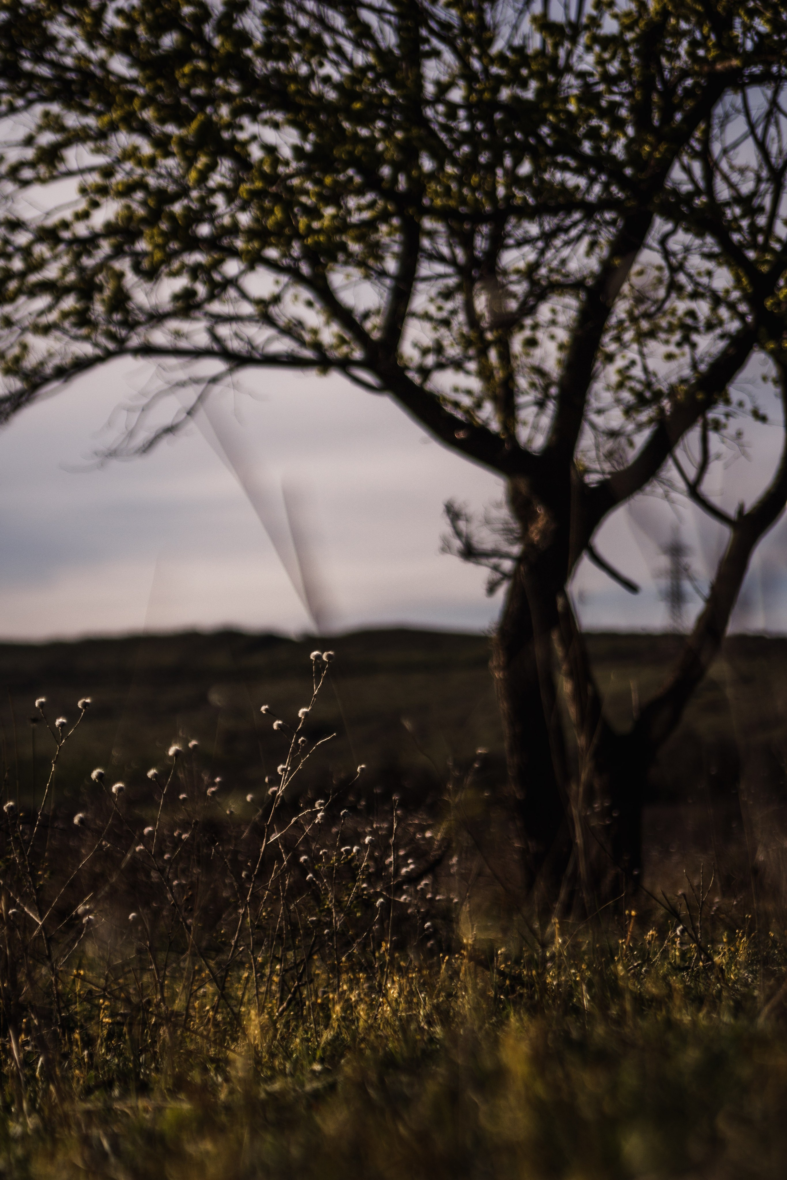 Весна. Катя Цвет