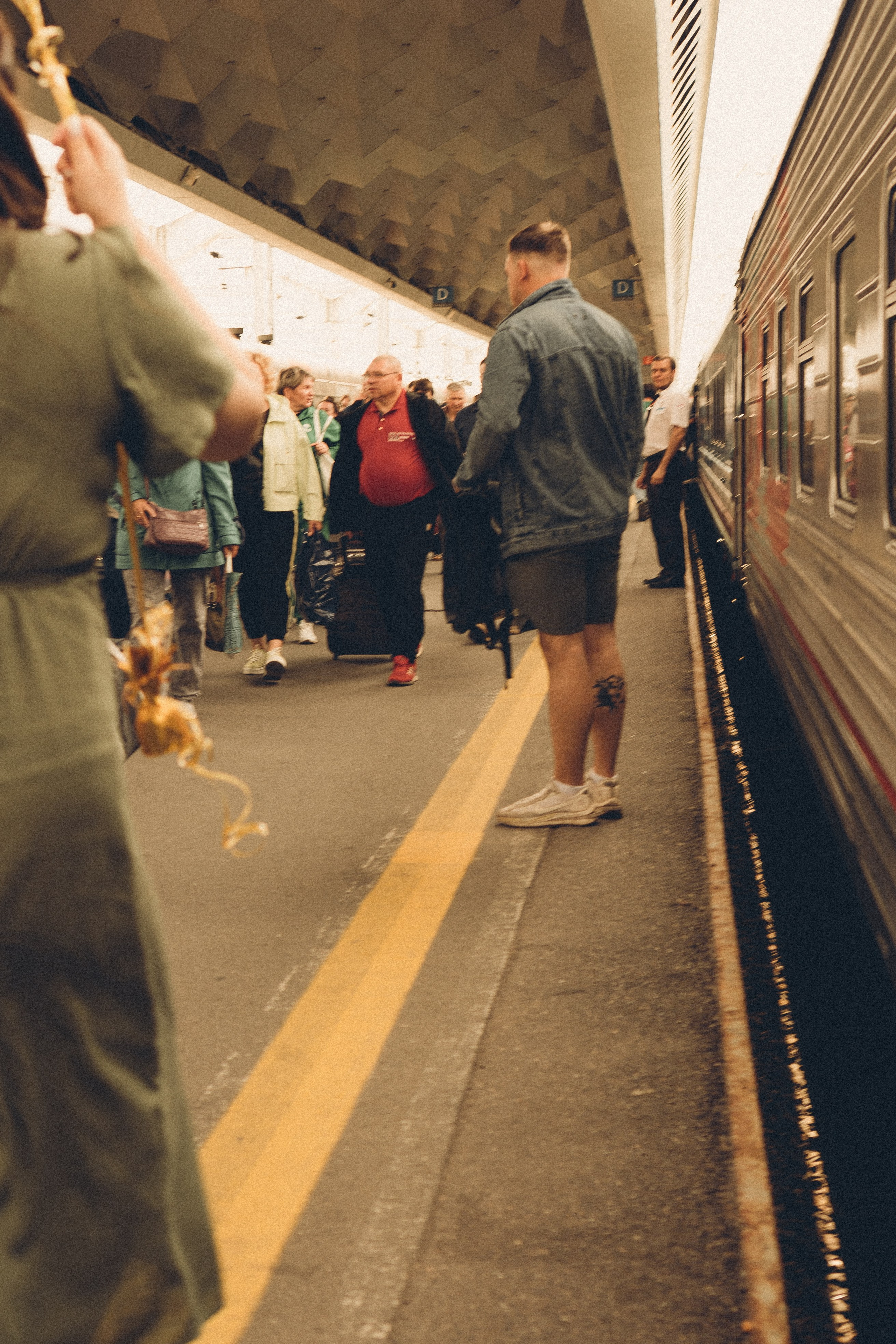 ПРЕДЛОЖЕНИЕ. Профессиональный фотограф, Санкт-Петербург — Виктория Богомолова