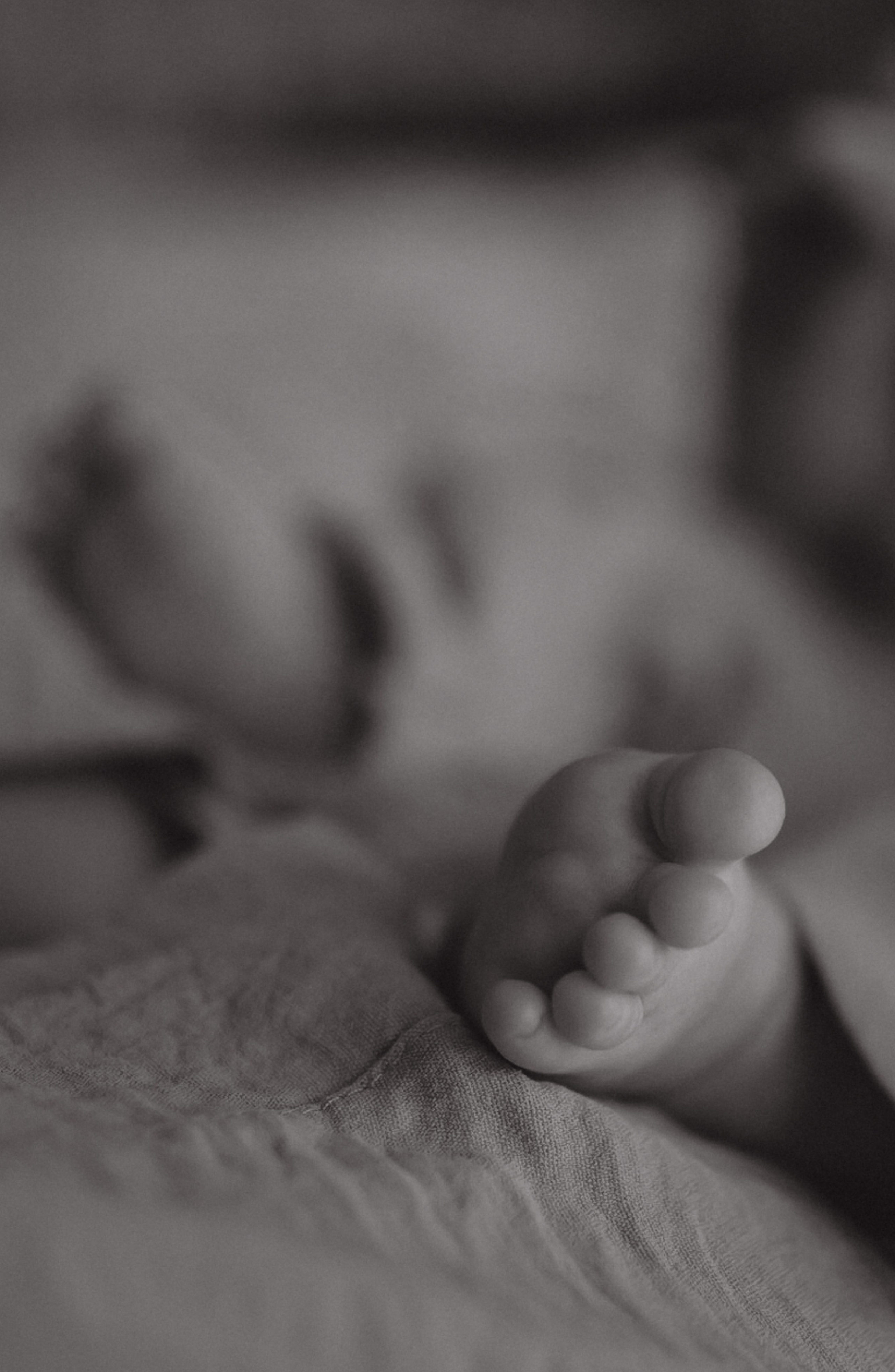 Иван Алёна и Миша. Ваш фотограф АНАстасия Земскова