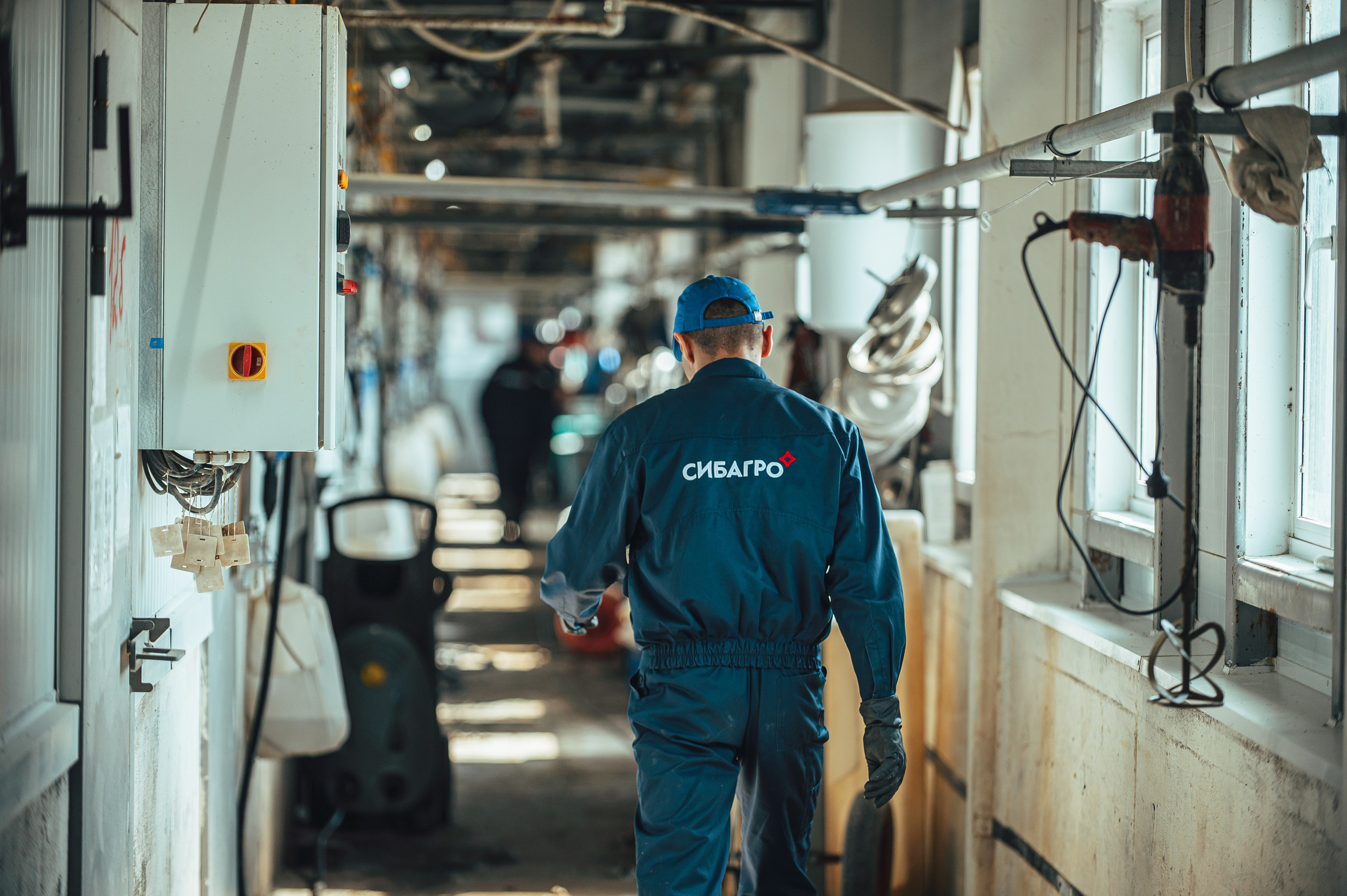 Свинокомплекс «СИБАГРО». Свадебная и концептуальная фотография в городе Улан-Удэ