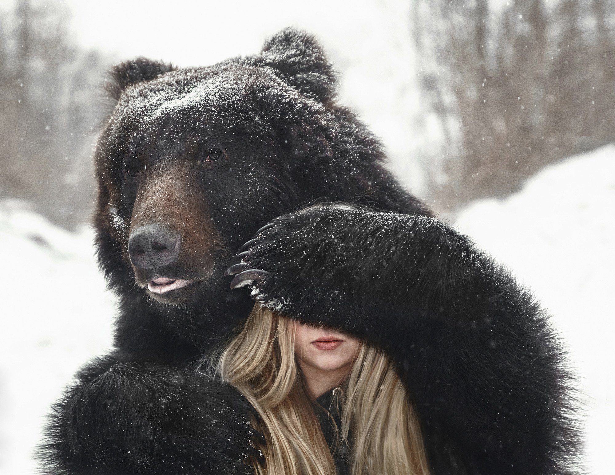 Медвежьи истории / Bearish stories. Visual artist Olga Burmistrova