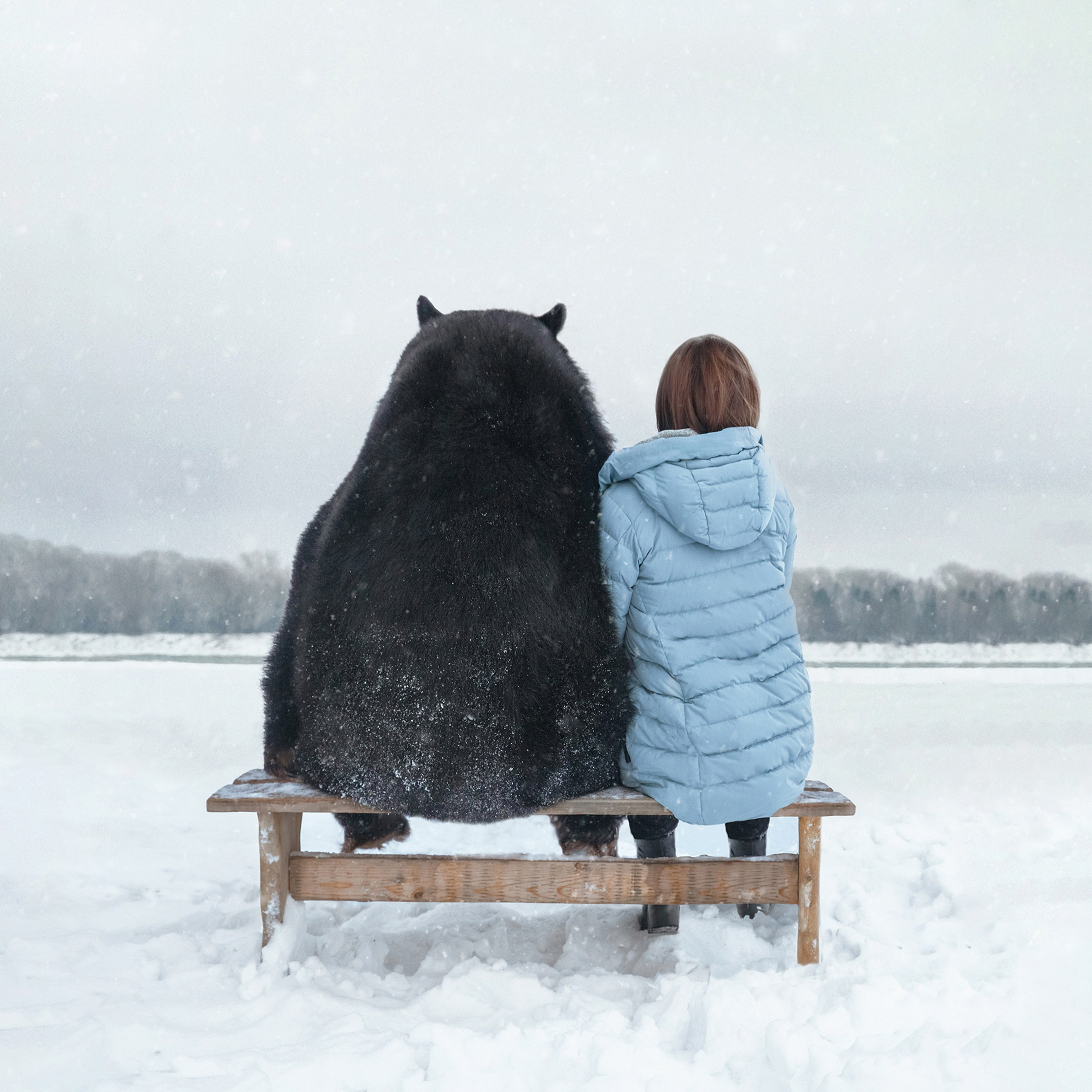 Медвежьи истории / Bearish stories. Visual artist Olga Burmistrova