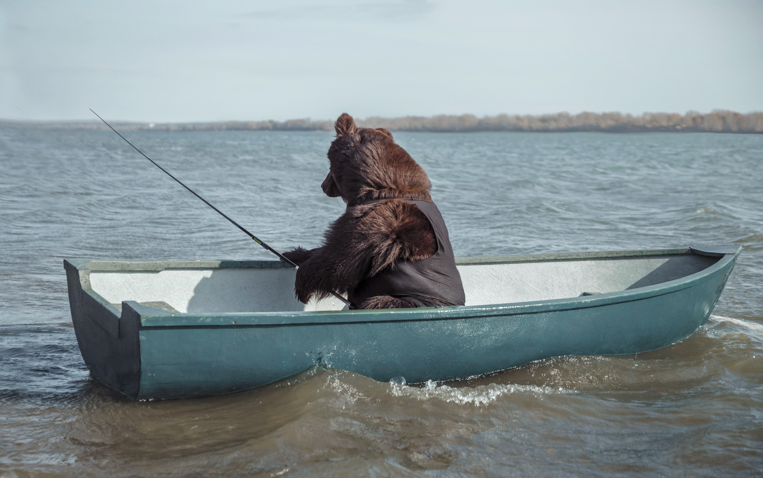 Медвежьи истории / Bearish stories. Visual artist Olga Burmistrova
