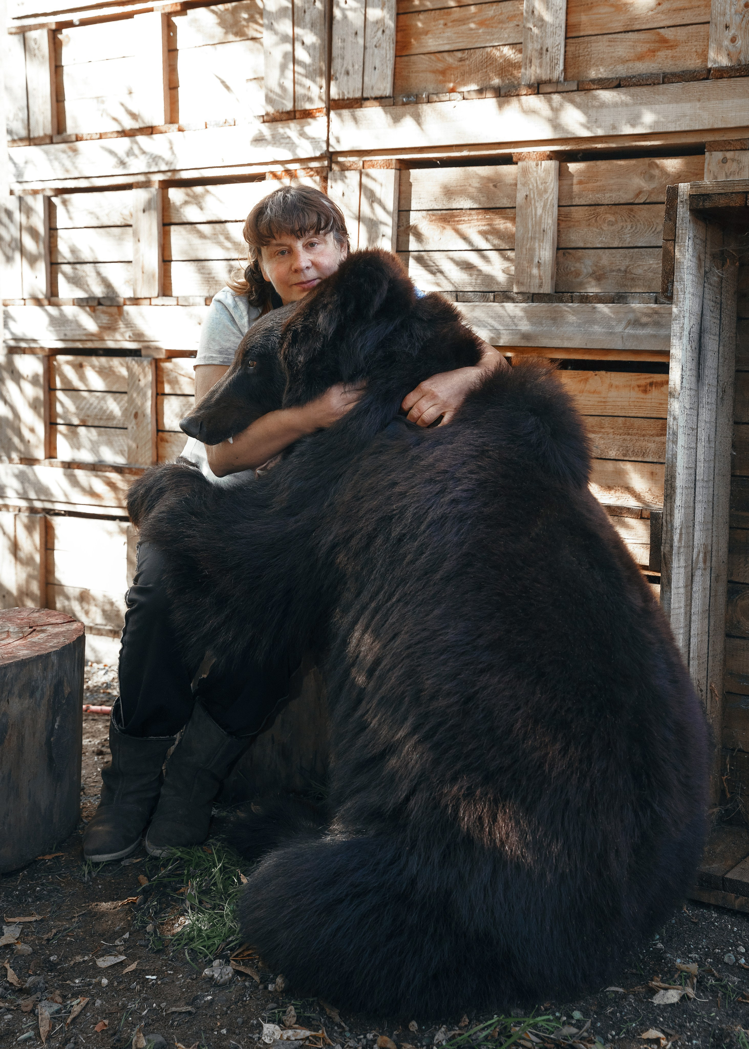 Медвежьи истории / Bearish stories. Visual artist Olga Burmistrova