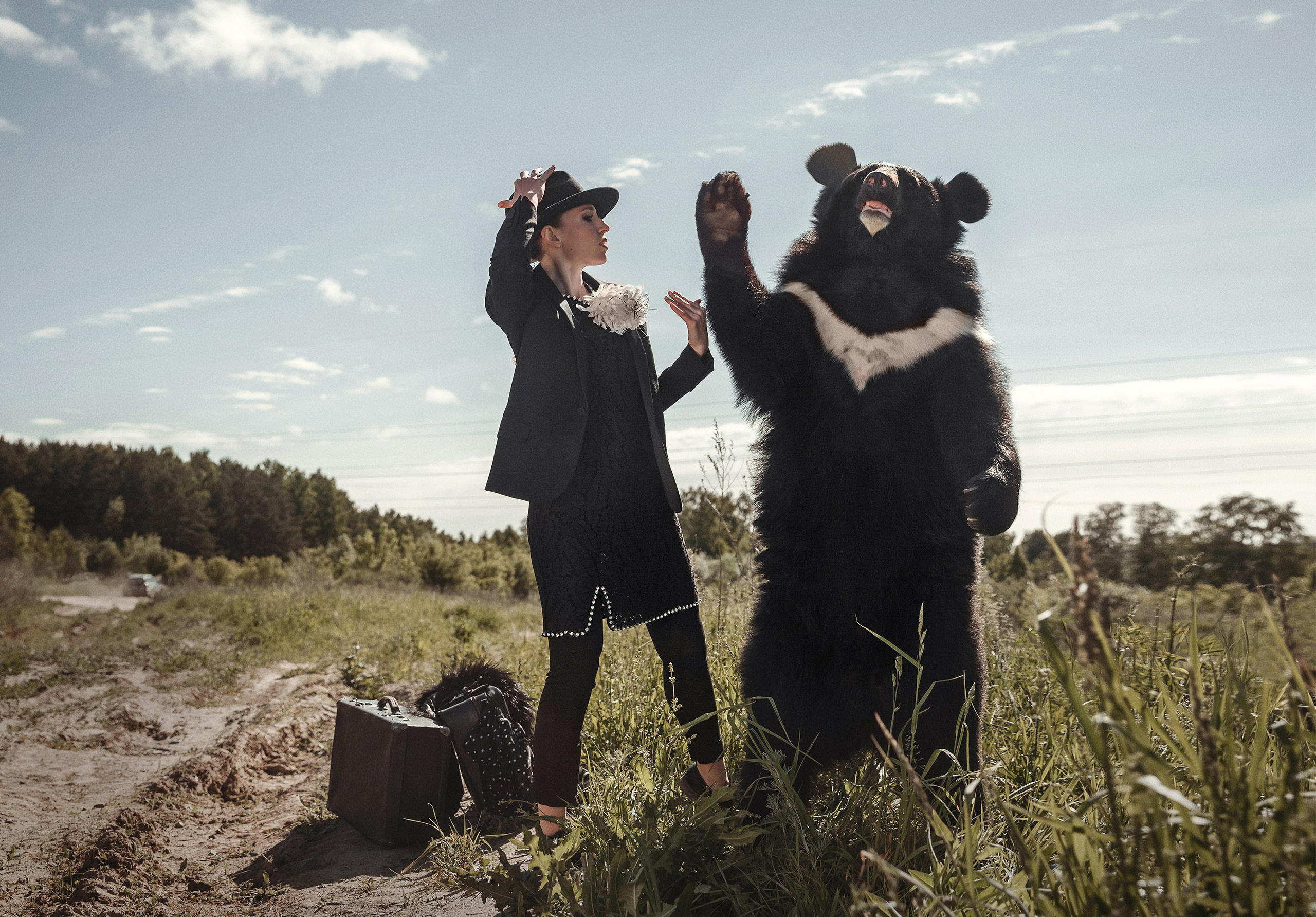 Медвежьи истории / Bearish stories. Visual artist Olga Burmistrova
