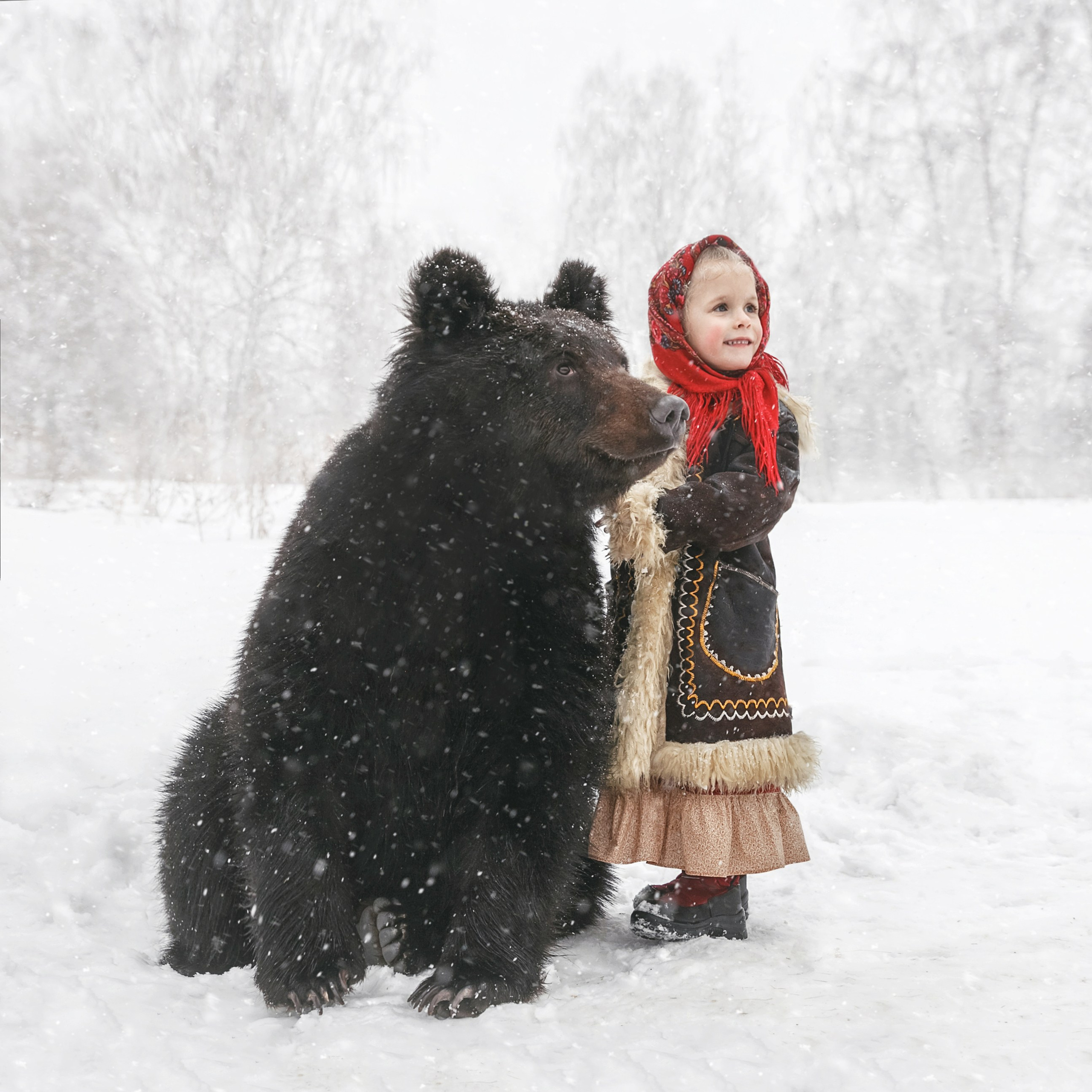 Медвежьи истории / Bearish stories. Visual artist Olga Burmistrova