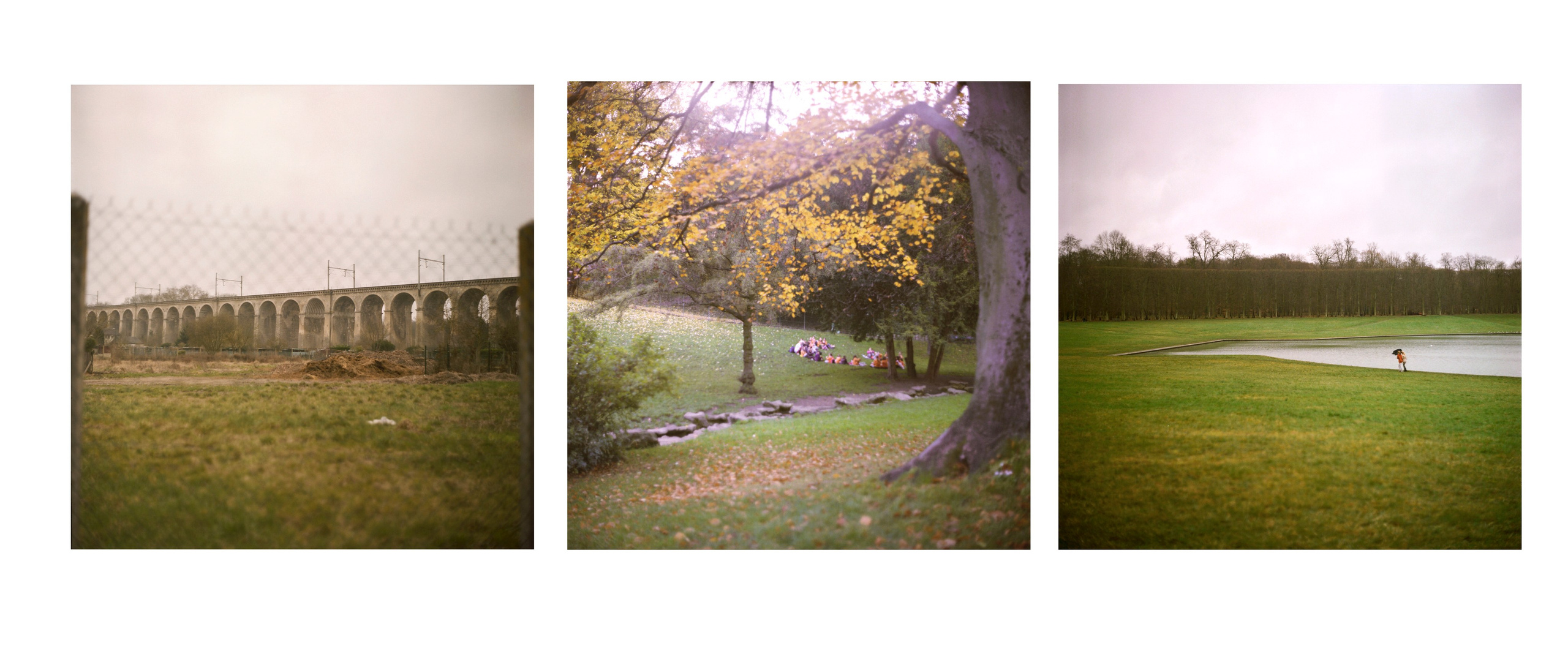 Tor. Katya Zimina, film photographer