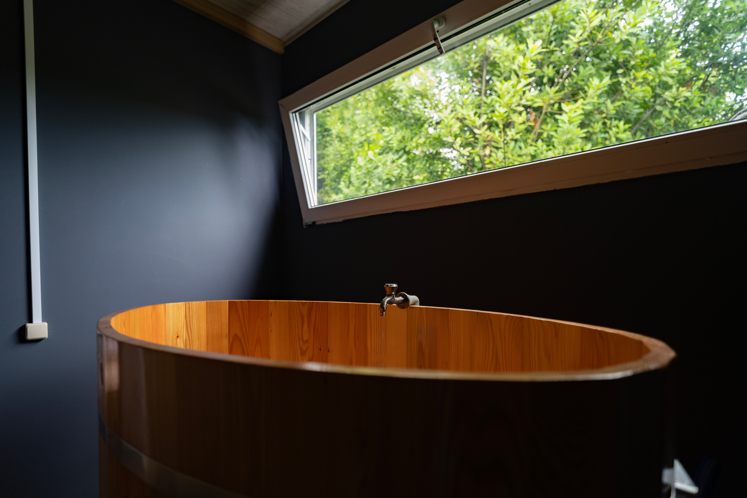 Дионис. Главная