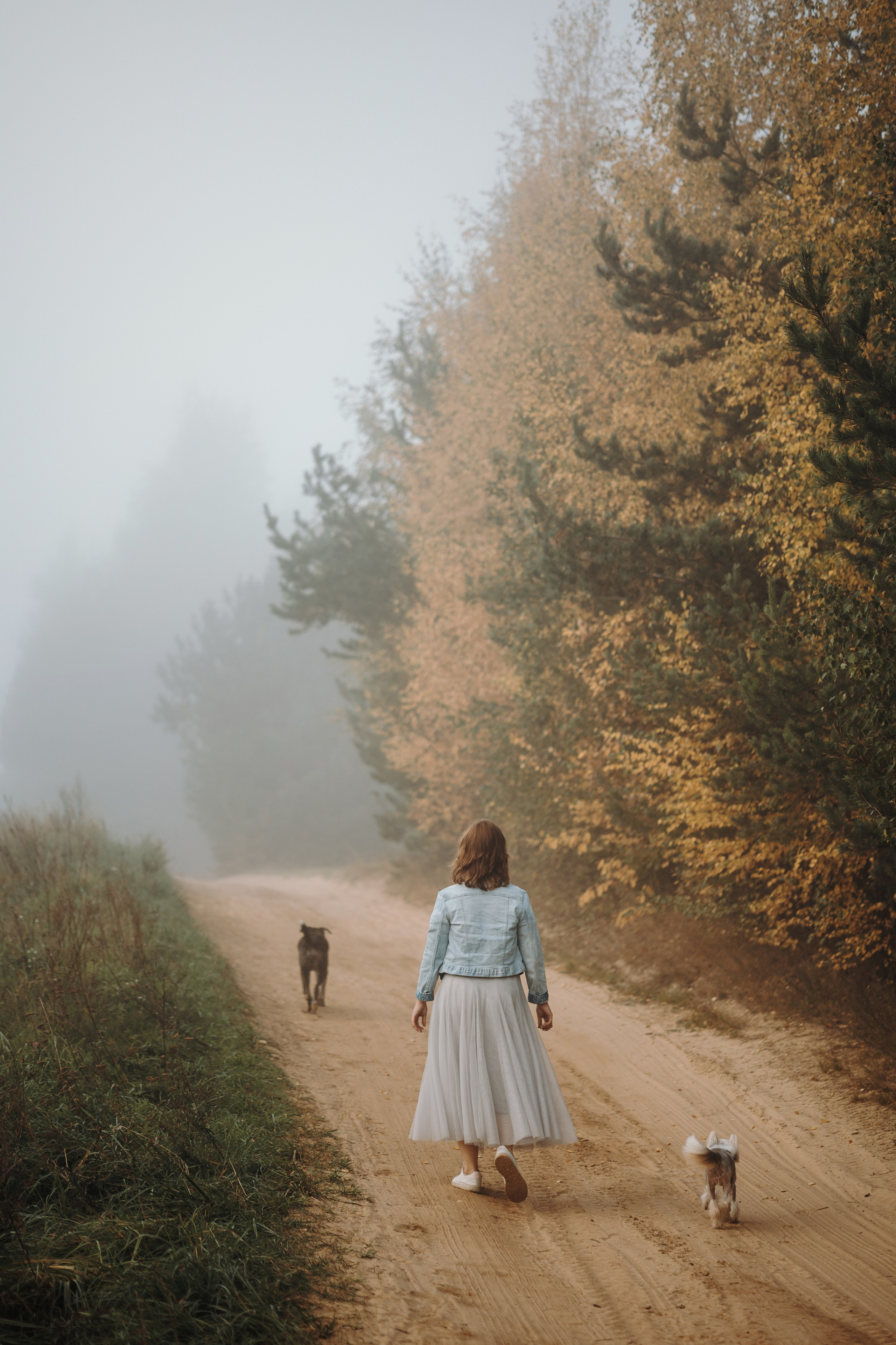 Любовь и ее хвостики. Фотограф — Анималист | Санкт-Петербург