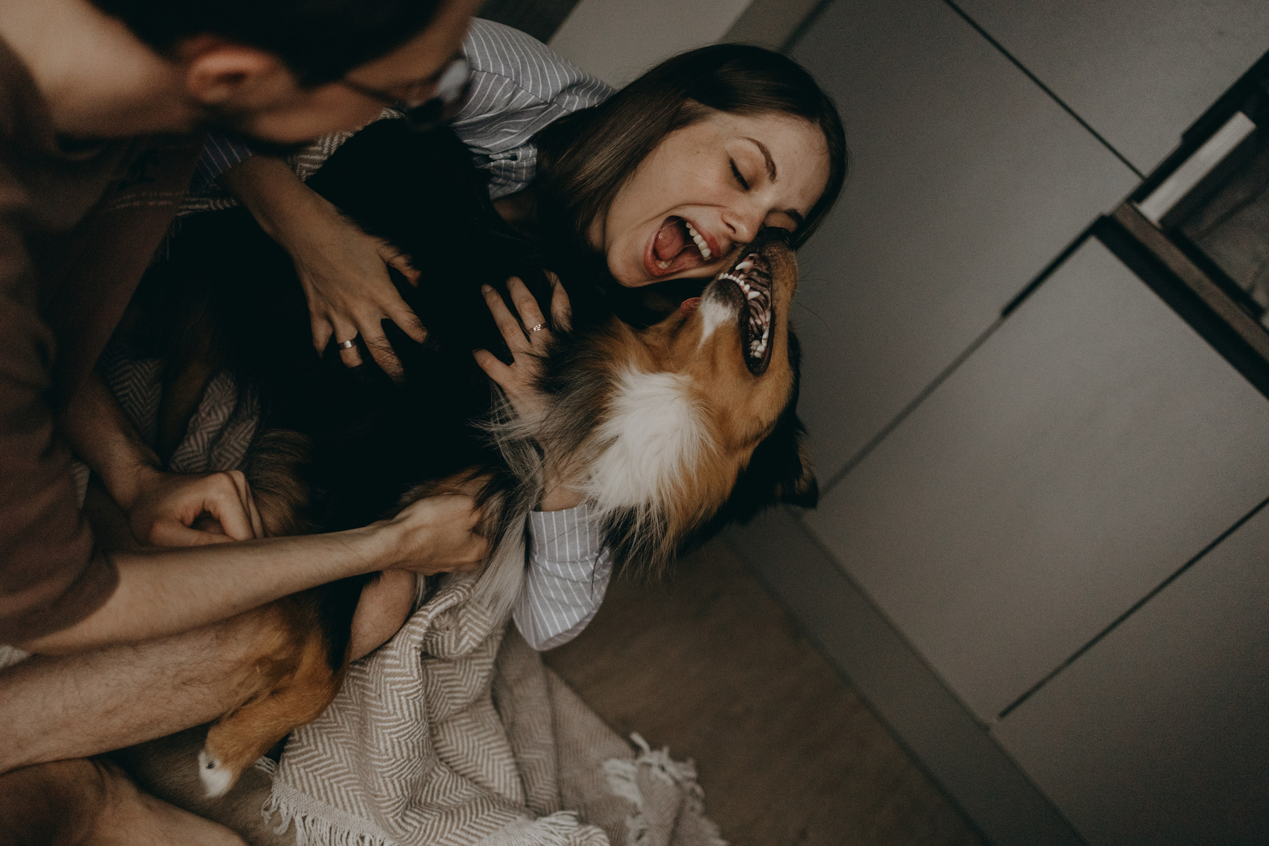 Настя, Никита и их Гром и Мяу. Фотограф — Анималист | Санкт-Петербург