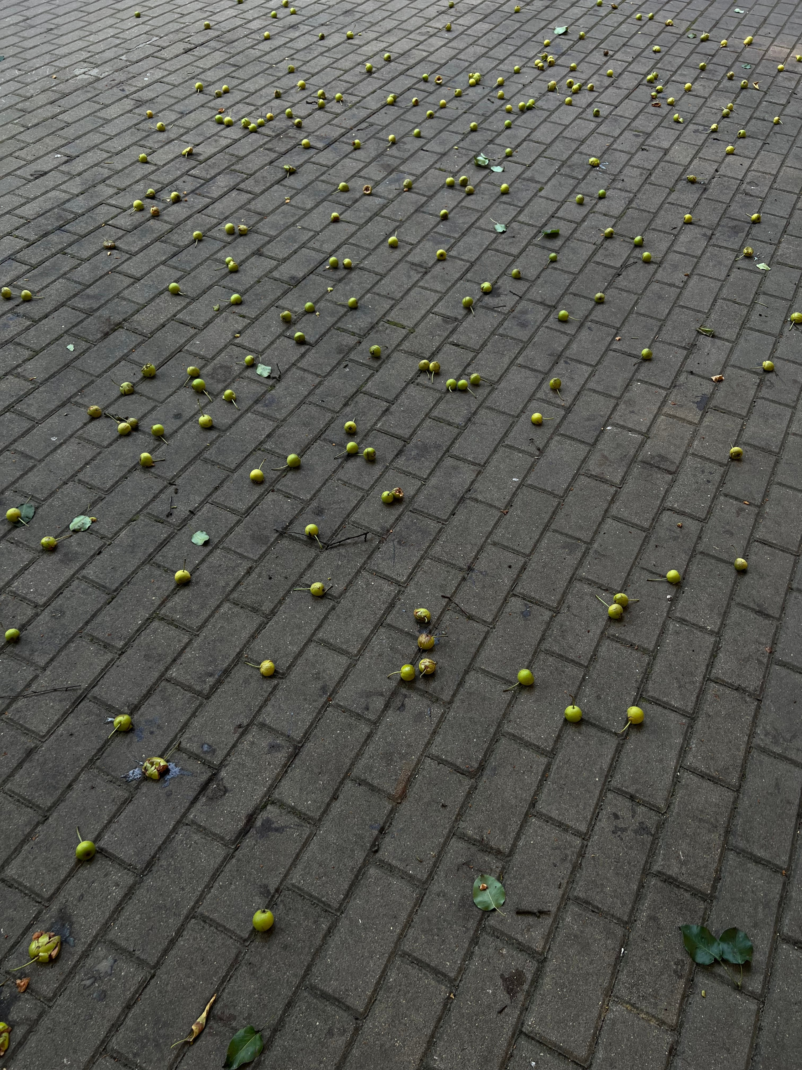 Fragments. Artem Khusainov