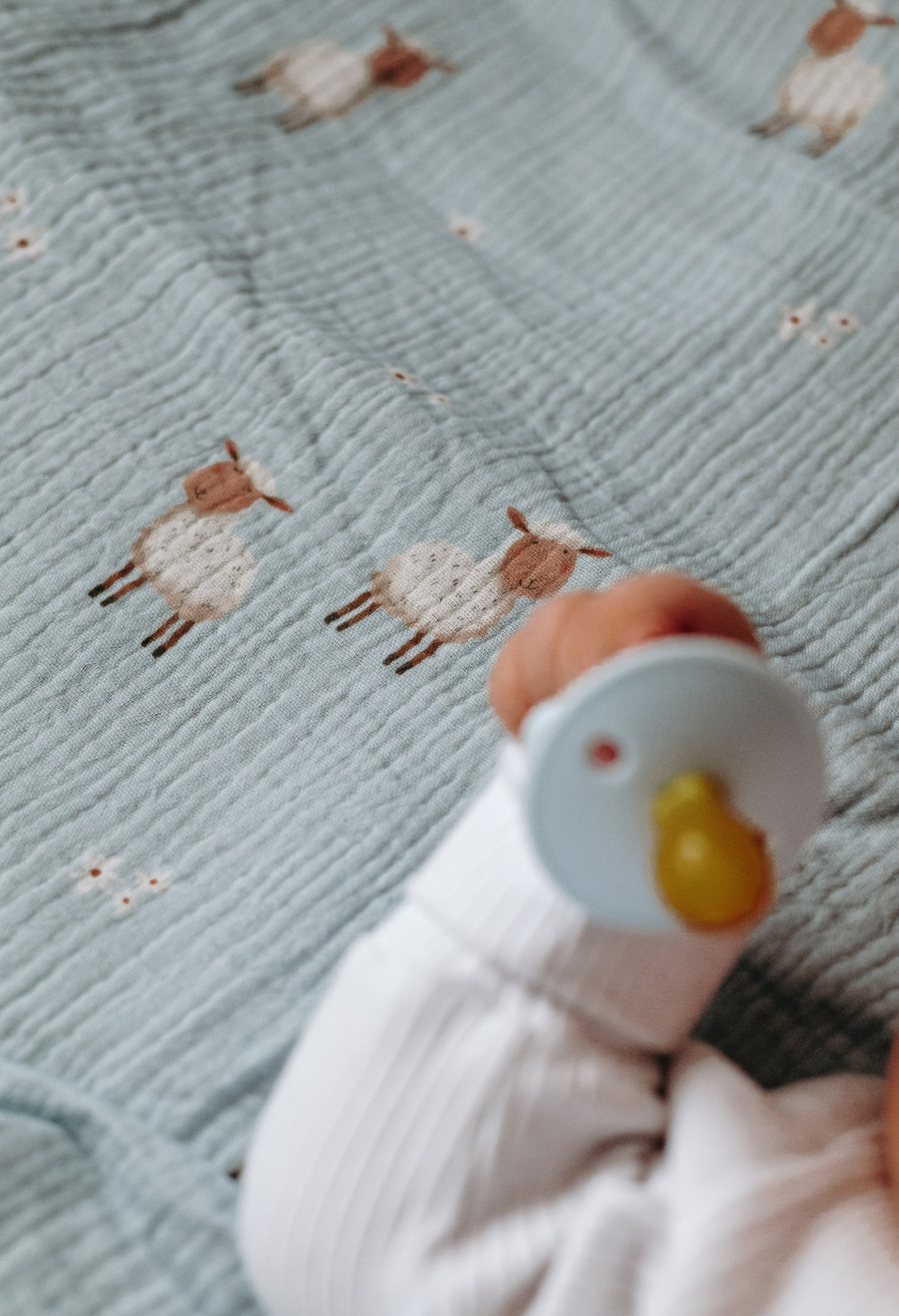 Morning. Свадебный фотограф в Минске Вадим Бурчик