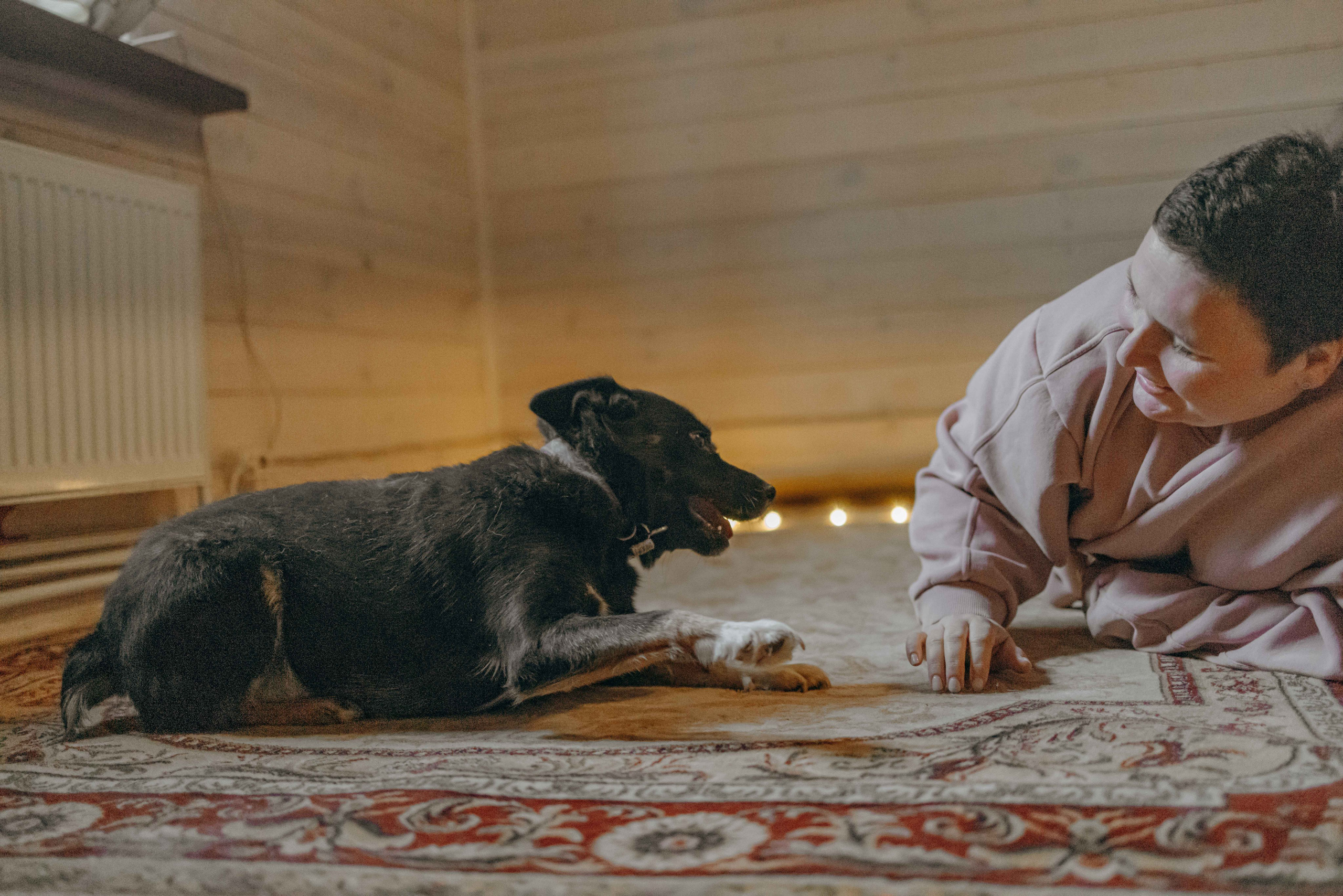 Передержка. Фотограф-анималист в Москве Лера Черноног
