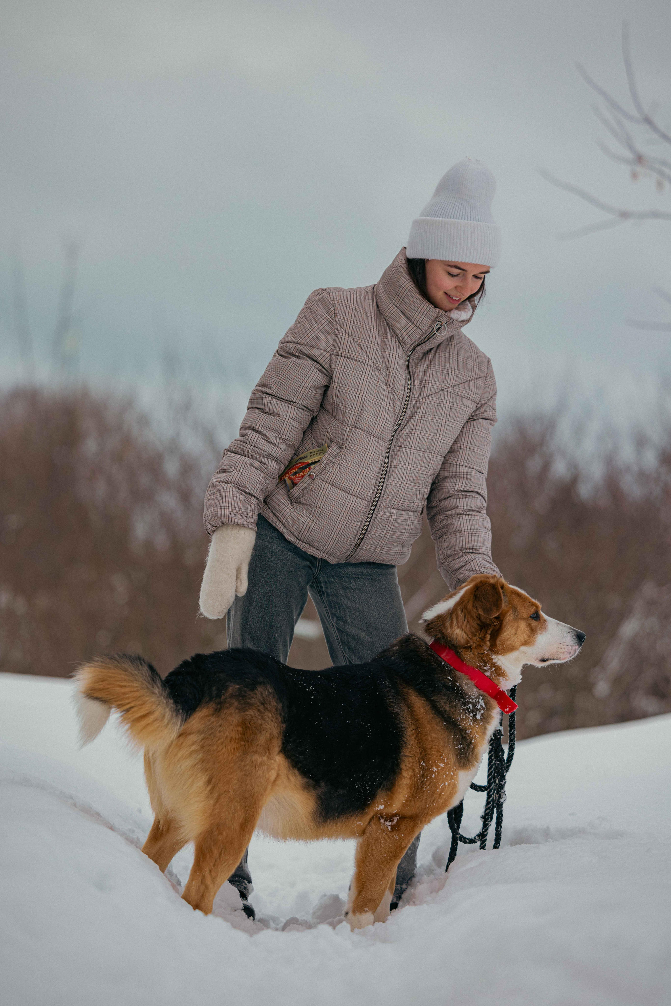 Петя. Фотограф-анималист в Москве Лера Черноног