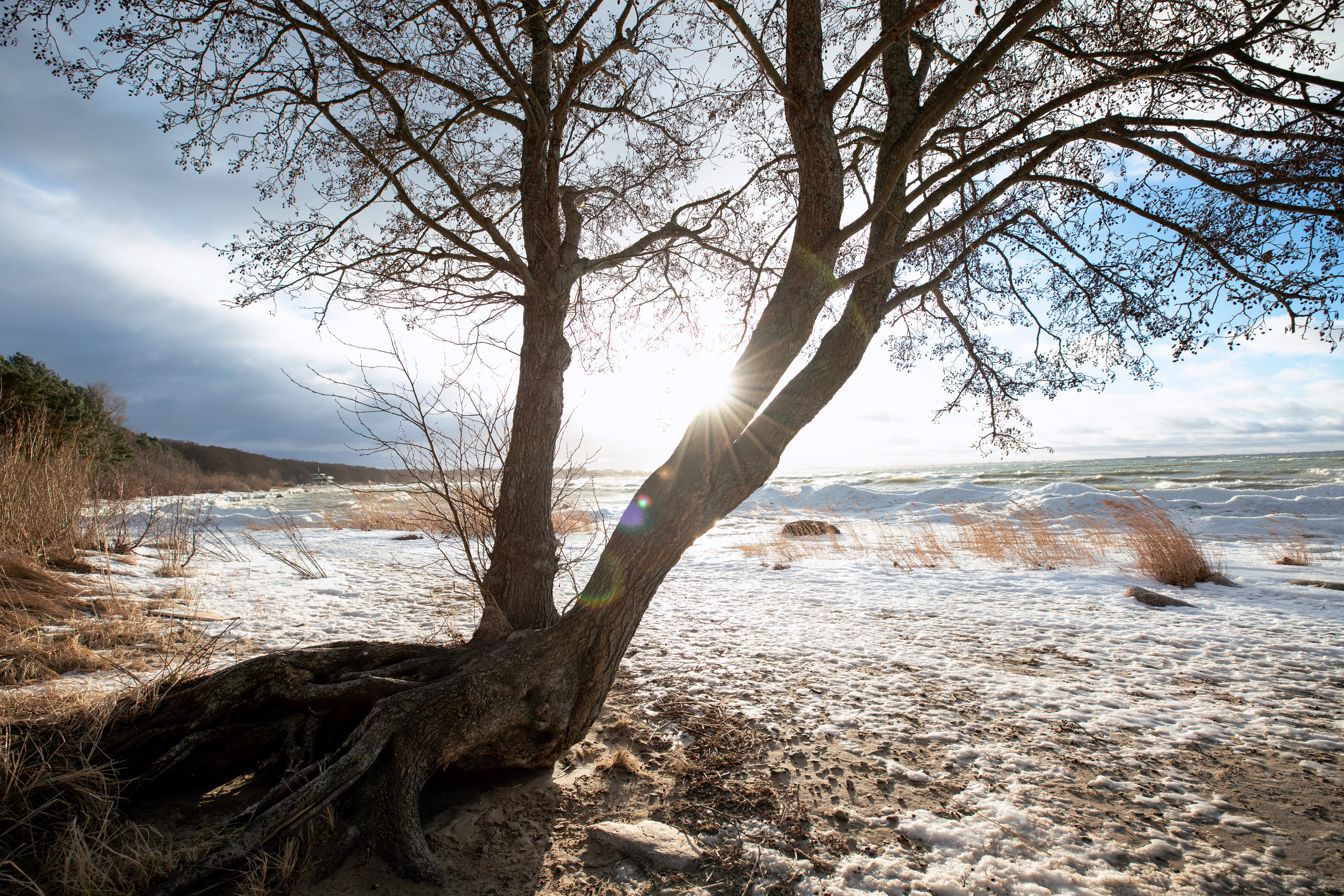 Estonia, Jan 2022. Воройская Анна