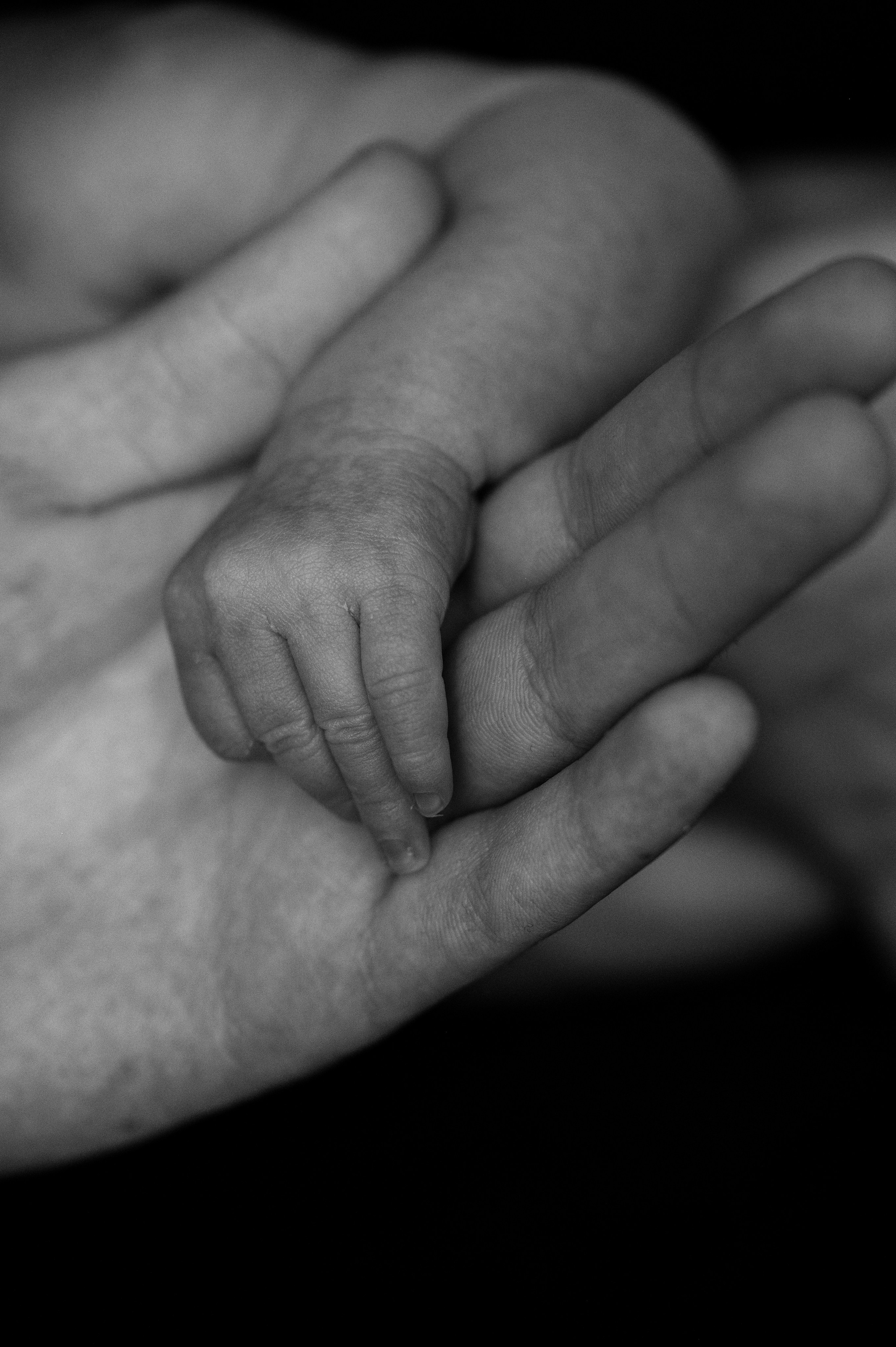 Съёмка маленькой принцессы. Мариуполь фото. Фотограф Мариуполь.Индивидуальные съёмки. Детские, семейные, коммерческие