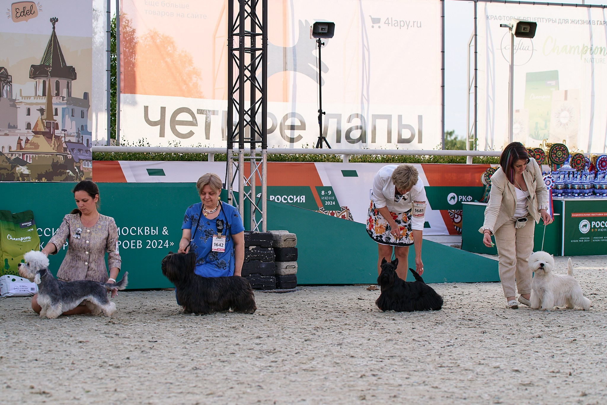 09.06.2024, «РОССИЯ. КУБОК МОСКВЫ 2024 & КУБОК ГОРОДОВ-ГЕРОЕВ»