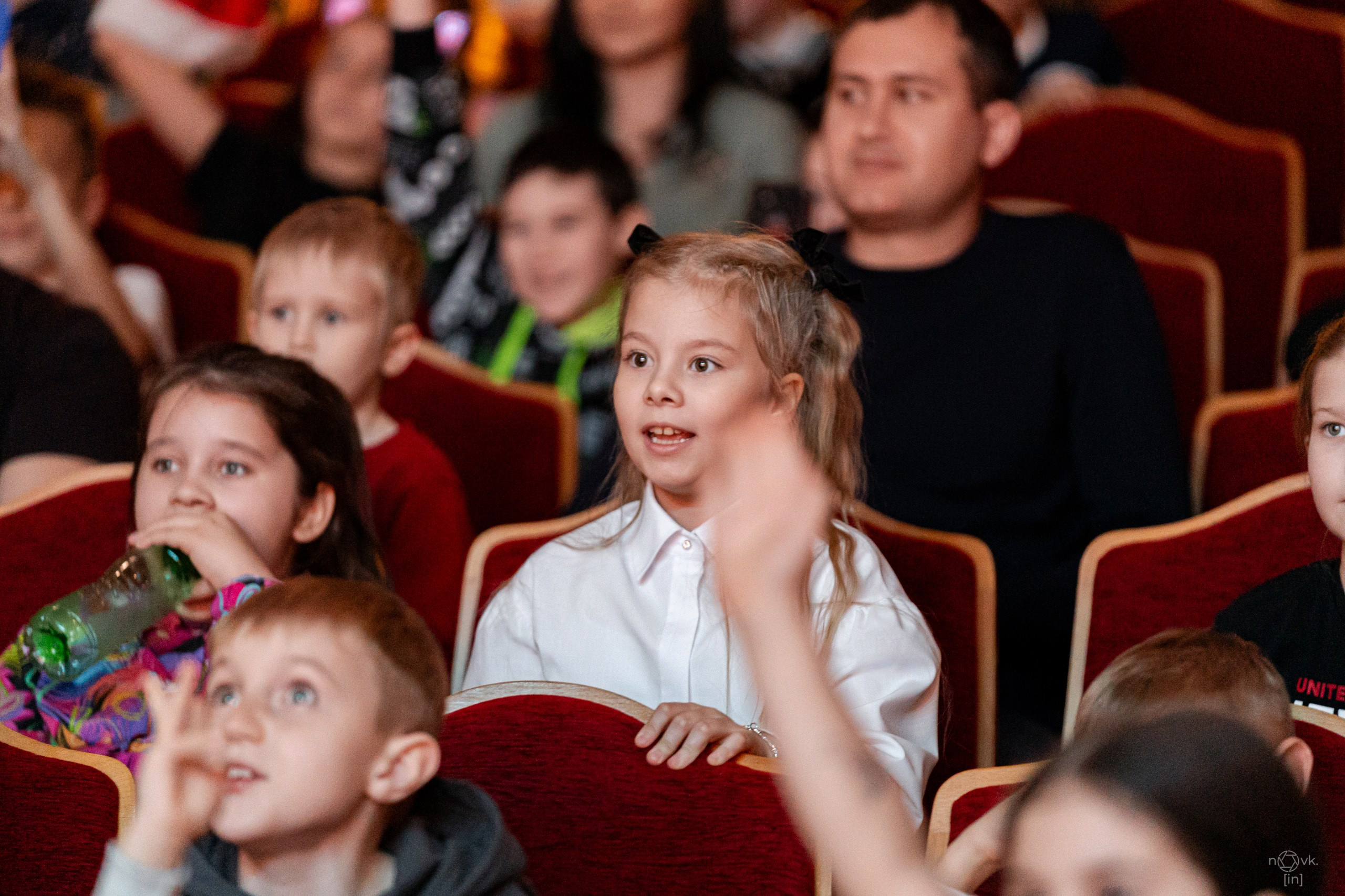 Ёлка. ФОТОГРАФ ИВАН НОВИКОВ | СТАВРОПОЛЬ