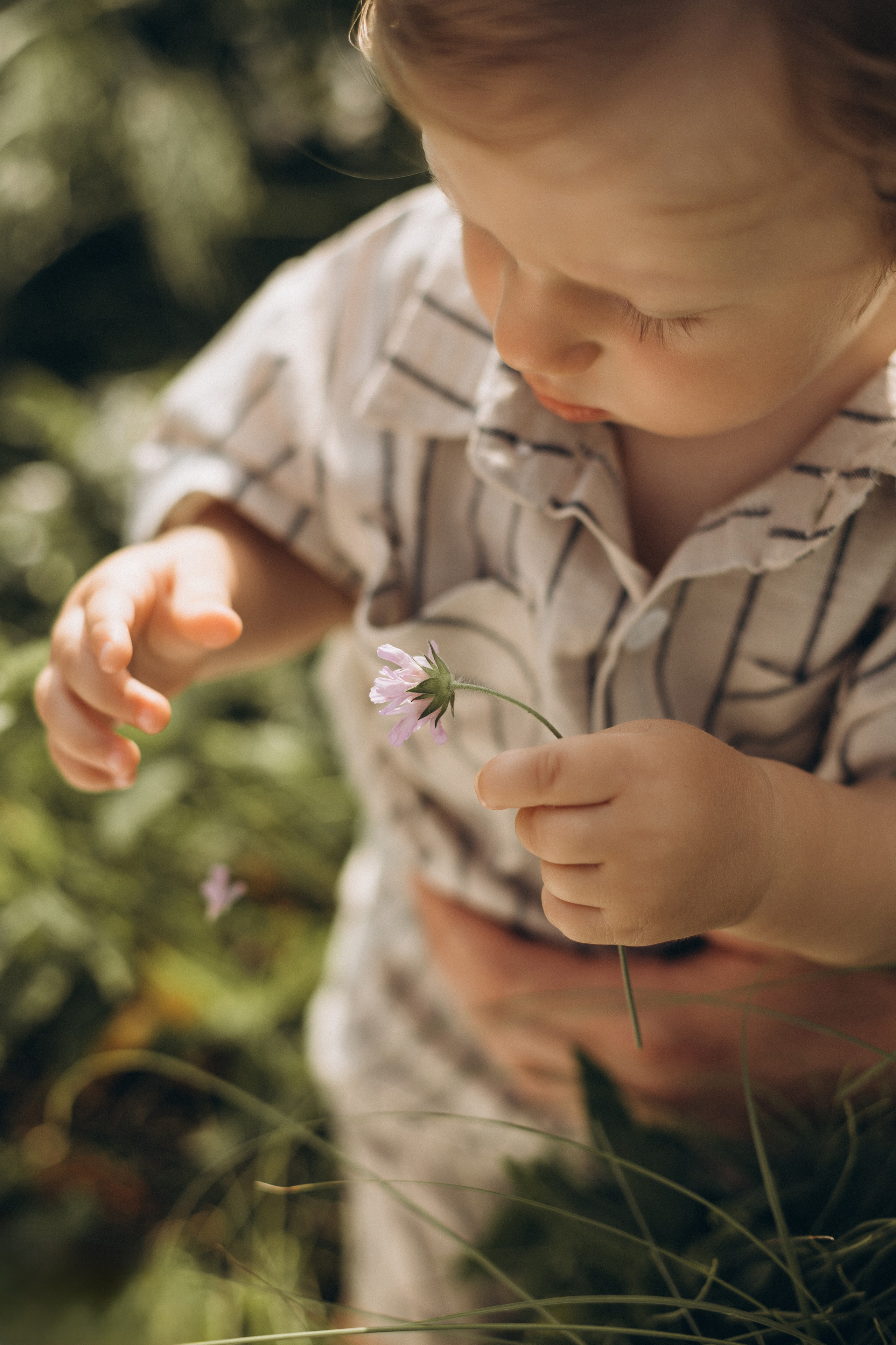 По тропинкам лета. Семейный фотограф в Брянске Зурилина Екатерина