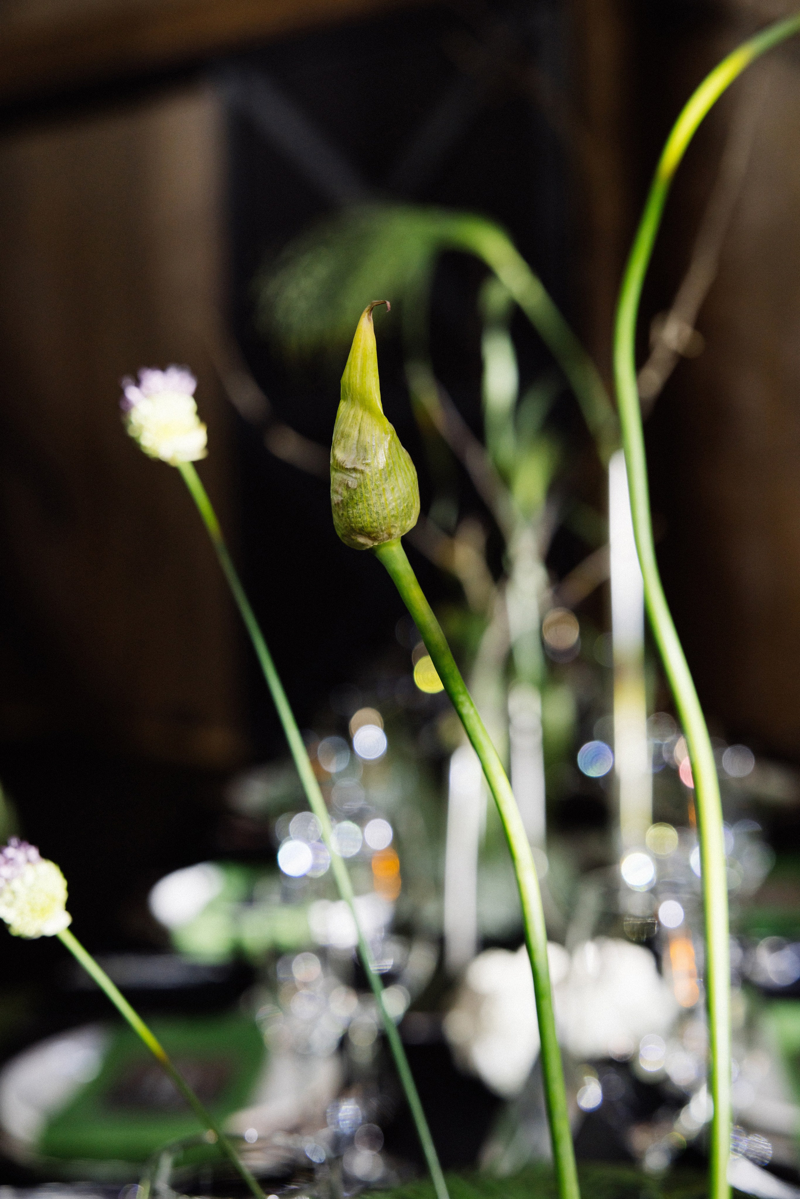 @avtors.agency. Свадебный и репортажный фотограф в Москве Владимир Сергеев | Naysaikolo