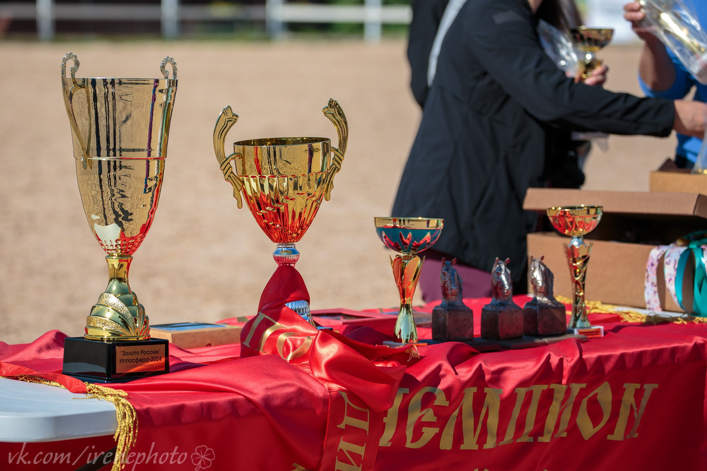 Иппосфера 2024. Irenephoto.ru