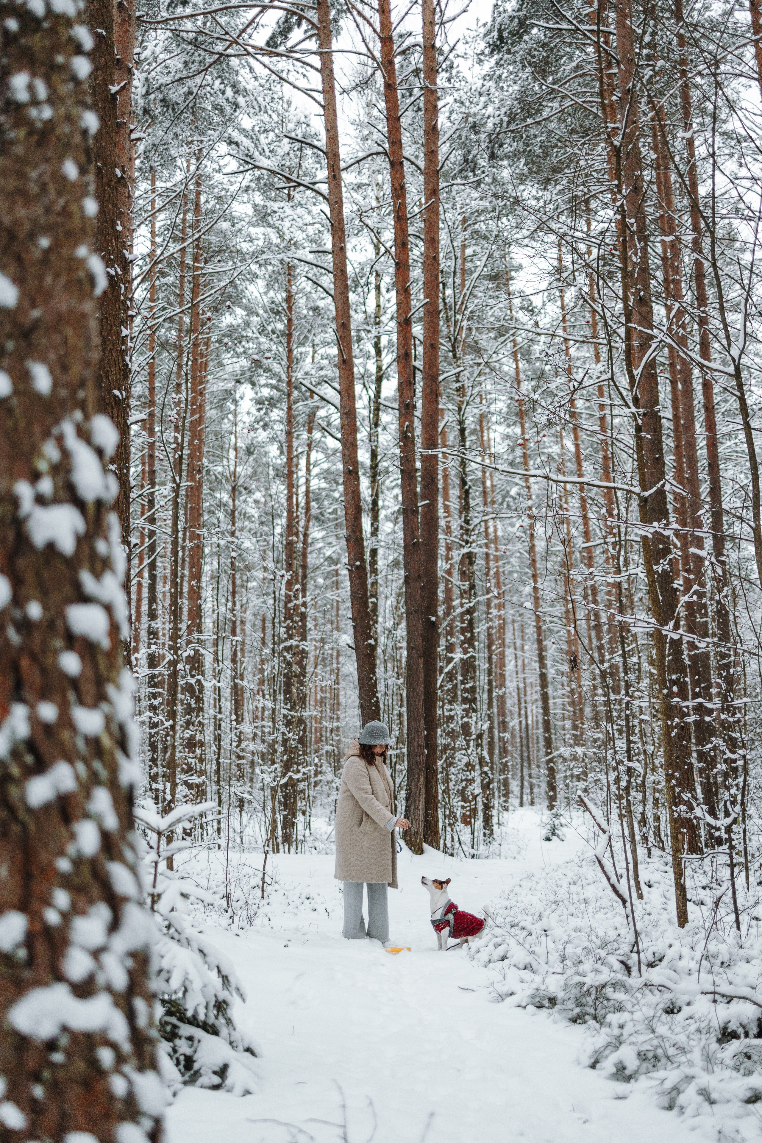 Наталья и Микки. Фотограф — Анималист | Санкт-Петербург