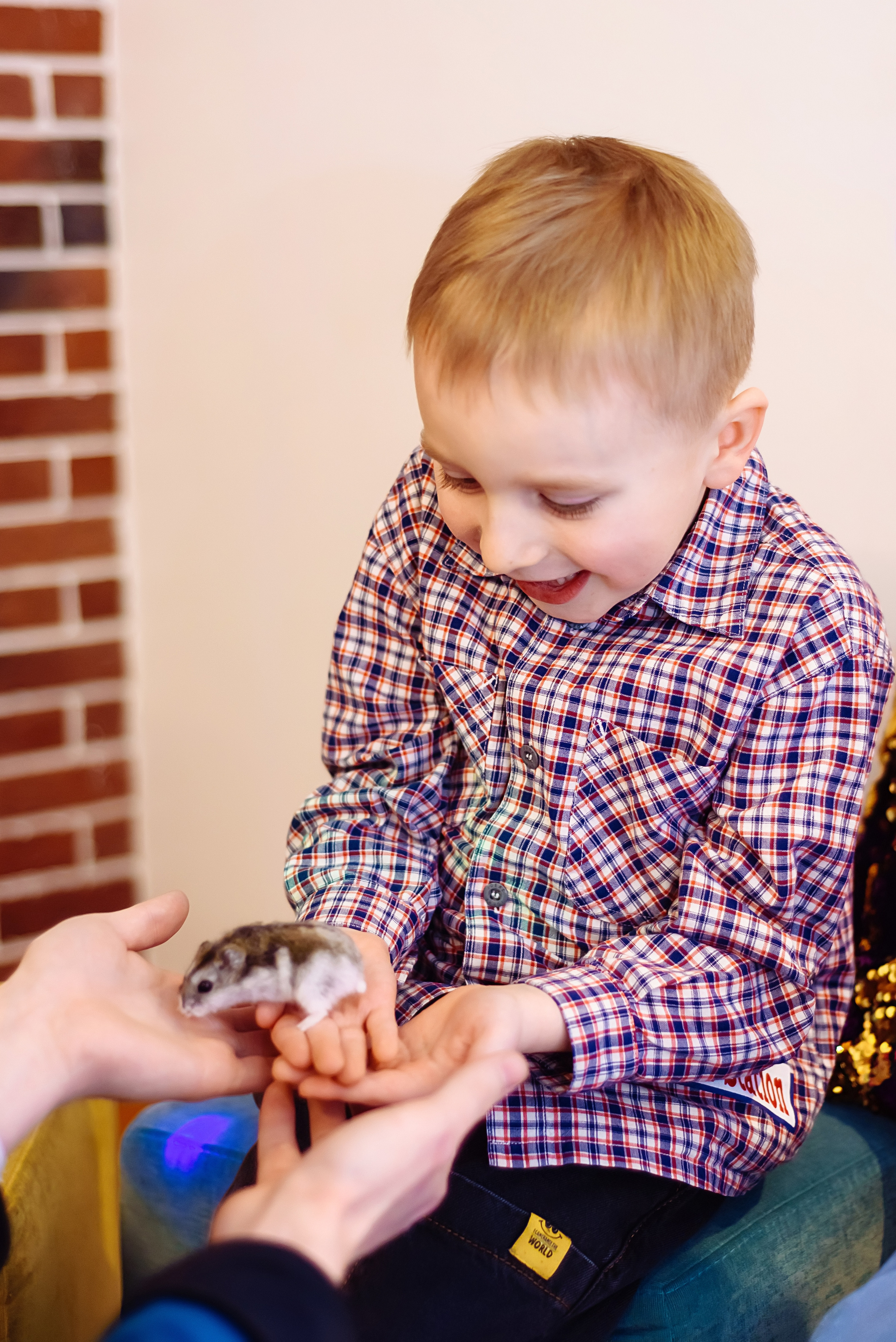 День рождения Златы. Детский и семейный фотограф Эльмира Веселова
