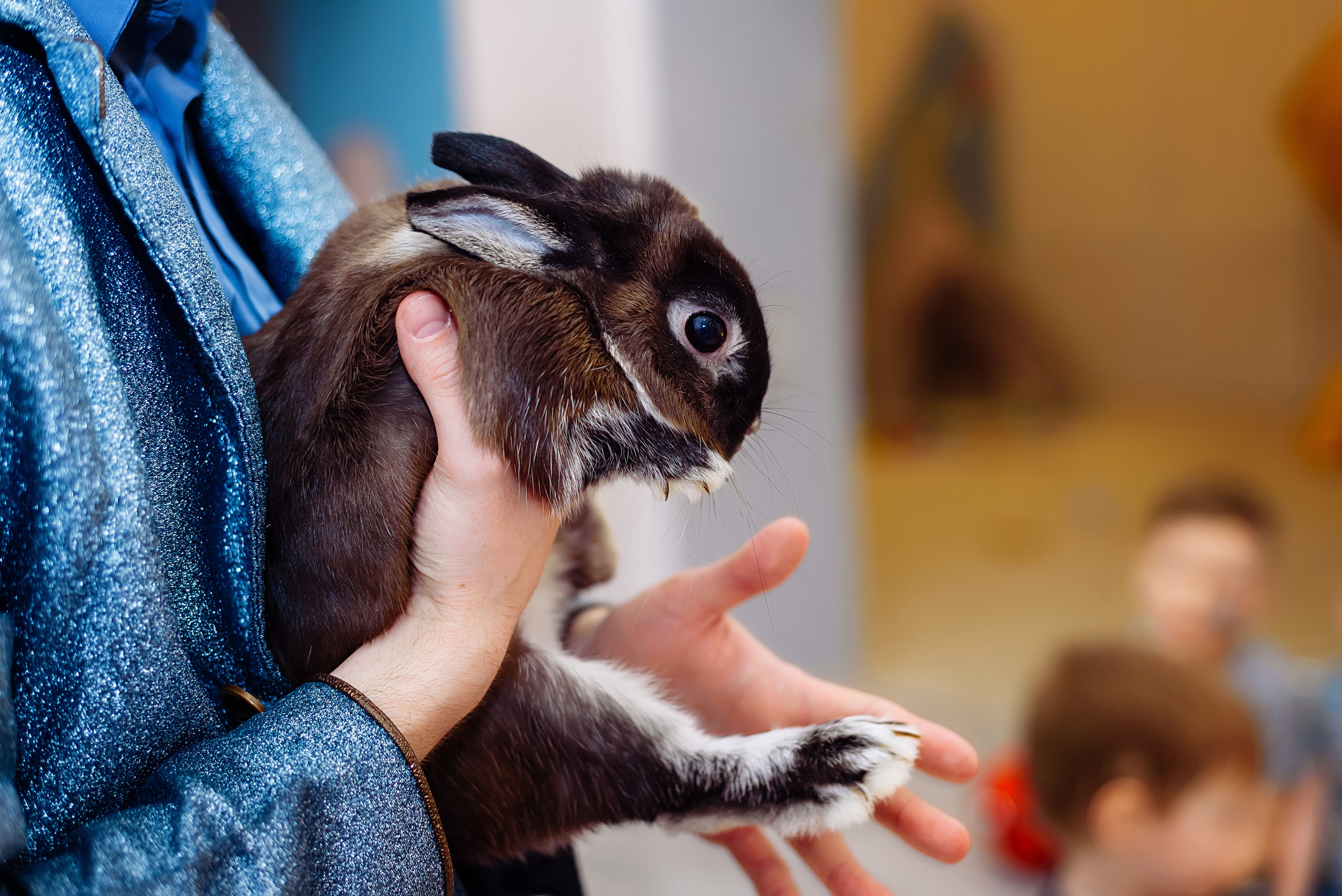 День рождения Мирославы. Детский и семейный фотограф Эльмира Веселова
