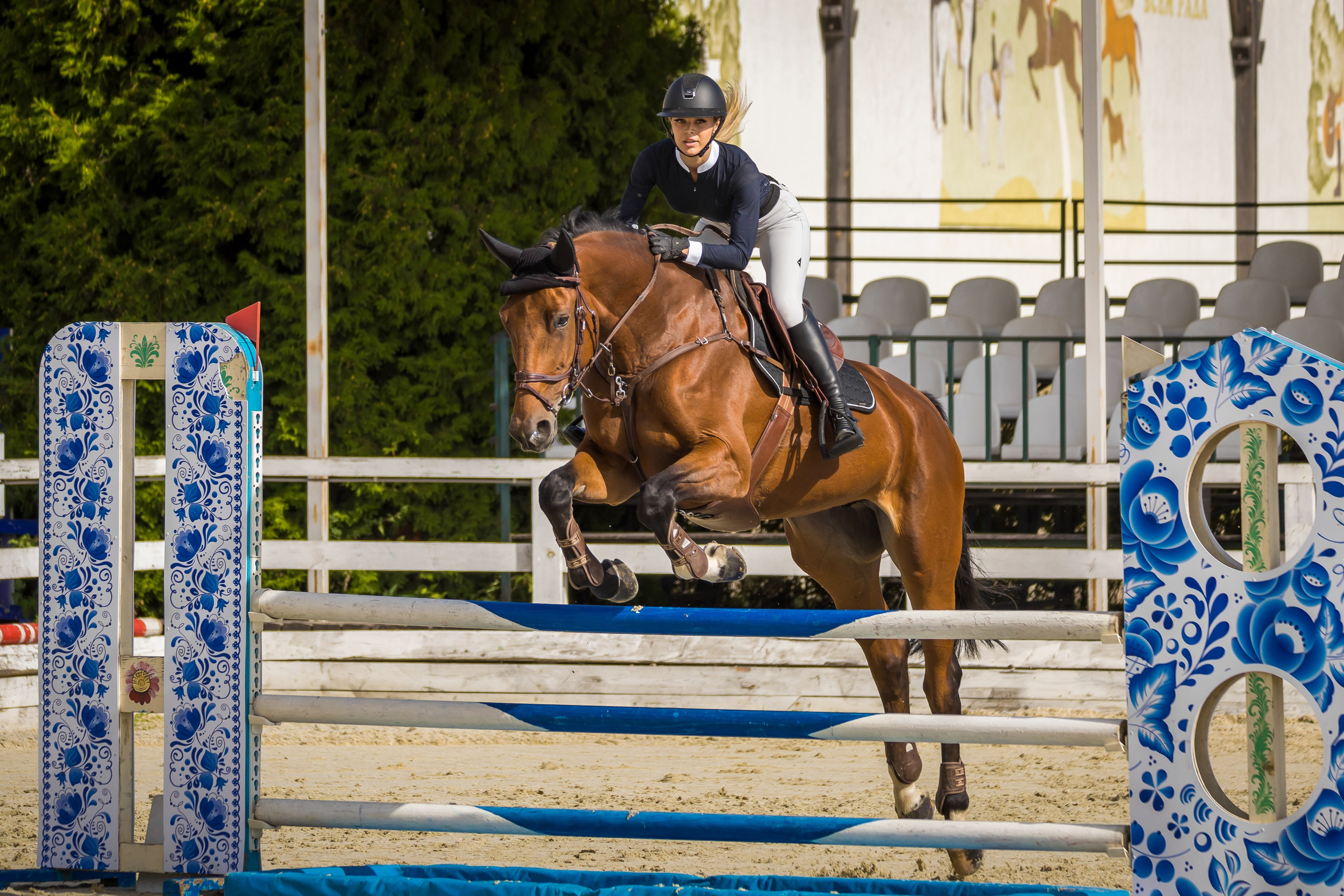 Конный спорт. Photomantis