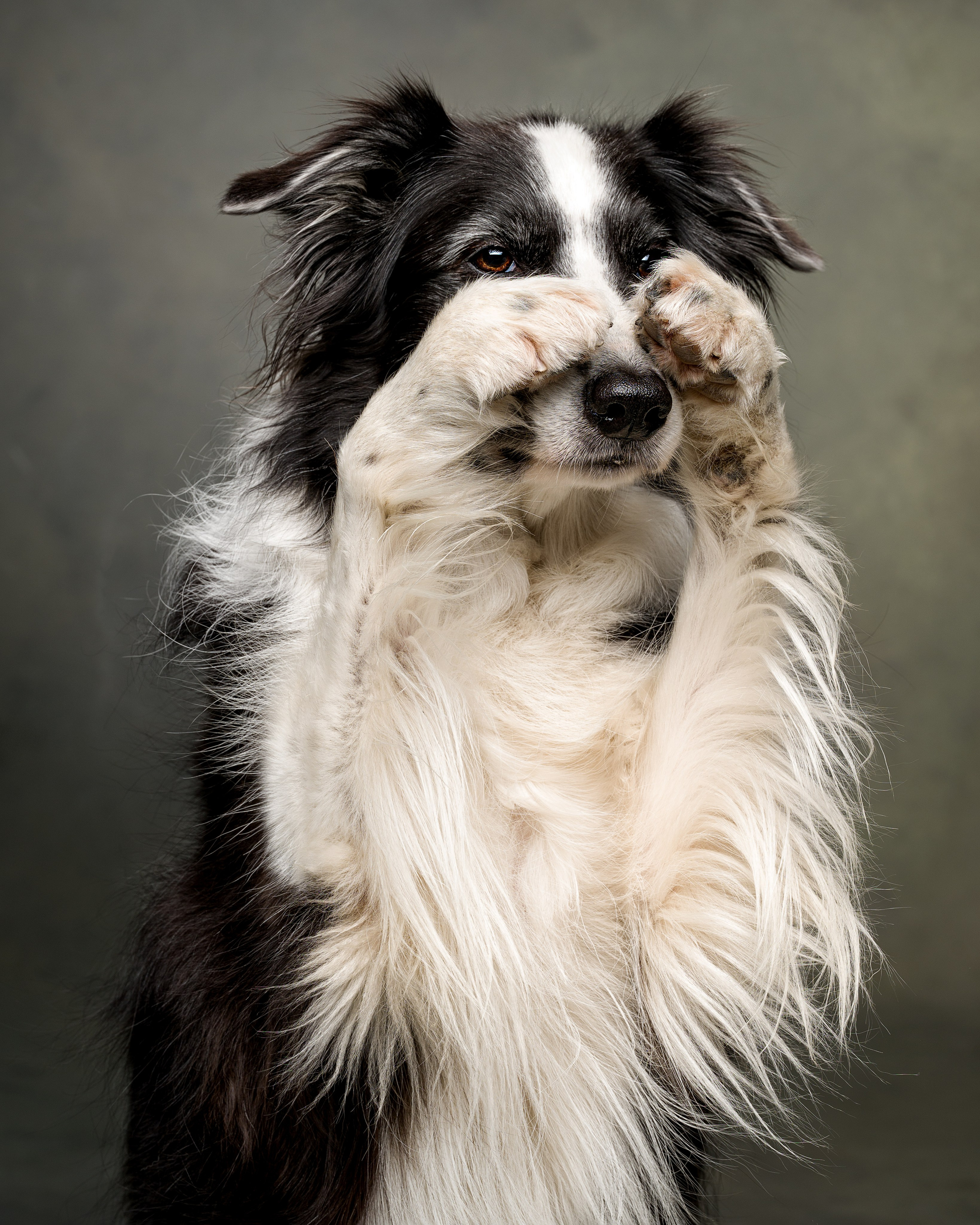 Студийные съемки. Портретный фотограф в Челябинске Катерина Руди