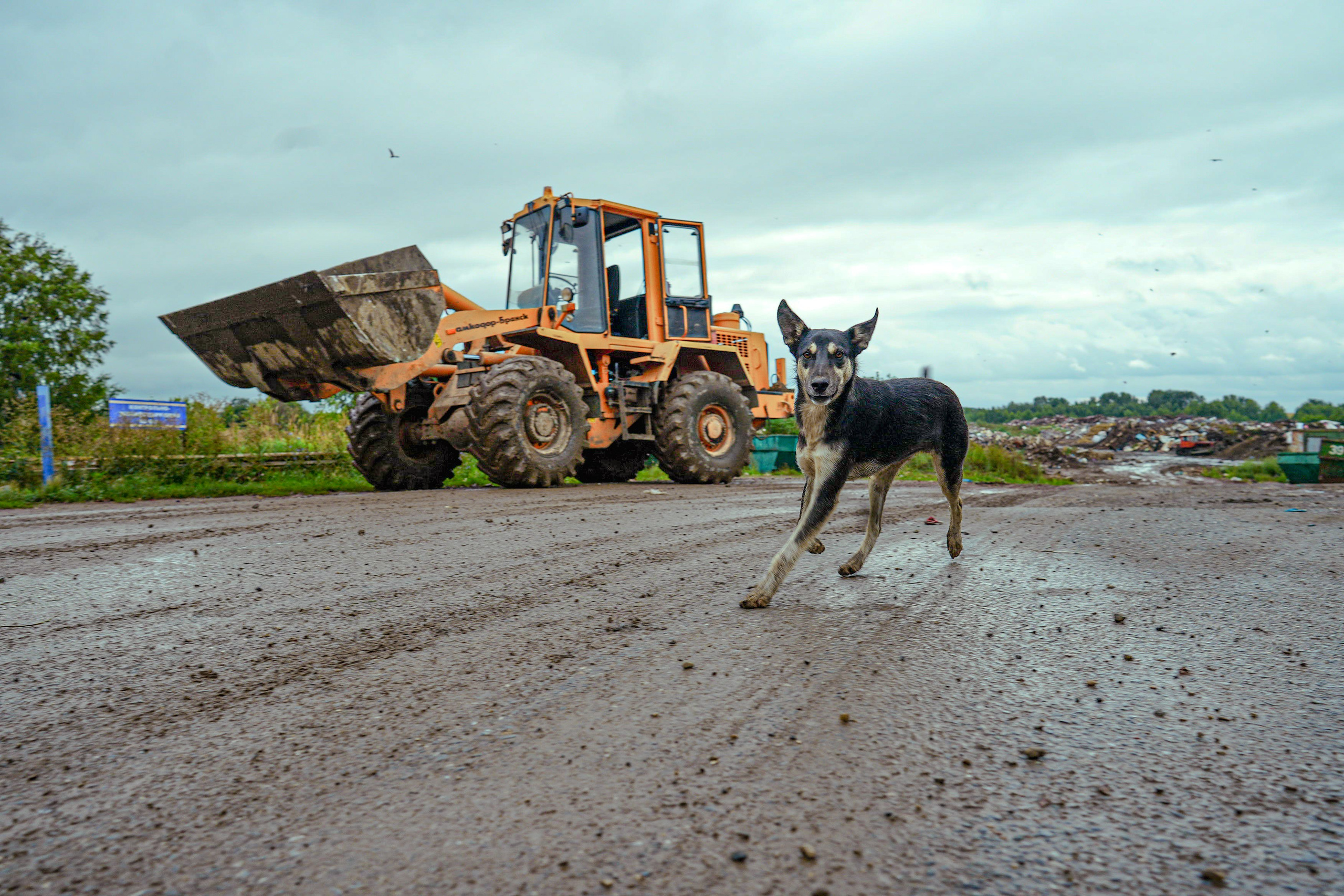 МусорАрт. Фотоким