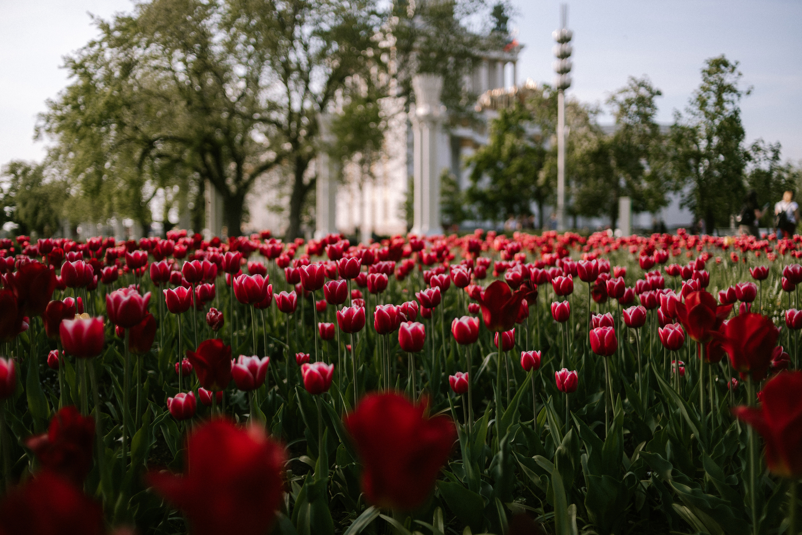 Москва. Портретный фотограф | Олеся Комарова | Екатеринбург