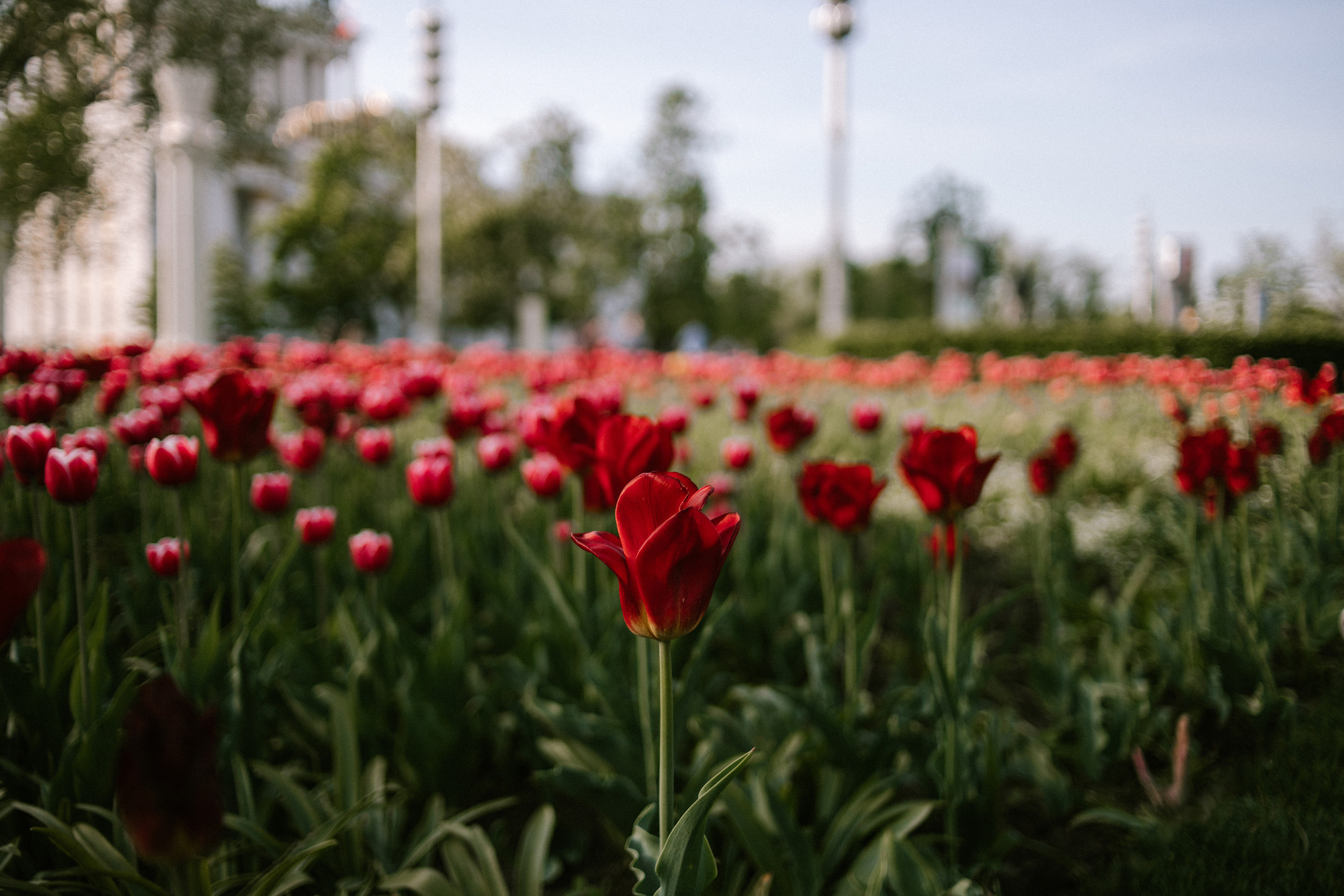 Москва. Портретный фотограф | Олеся Комарова | Екатеринбург