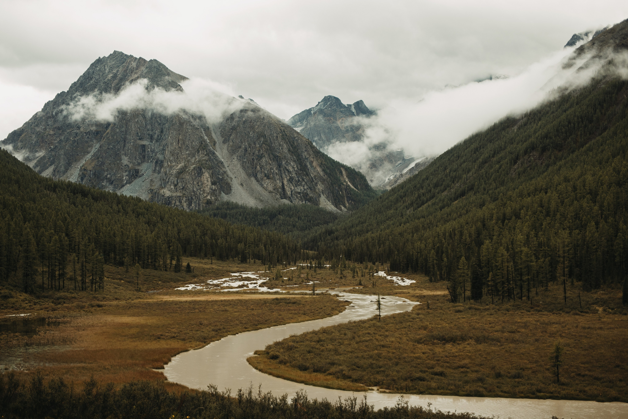Шавлинские. Главная