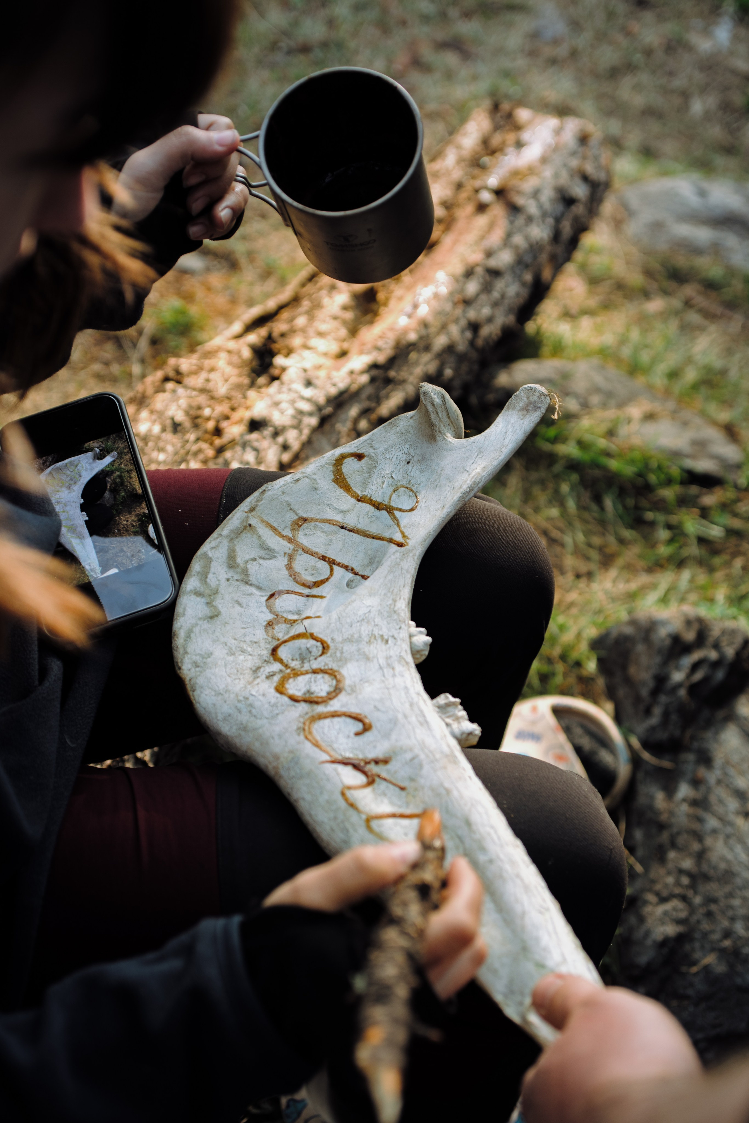 Шавлинские. Главная