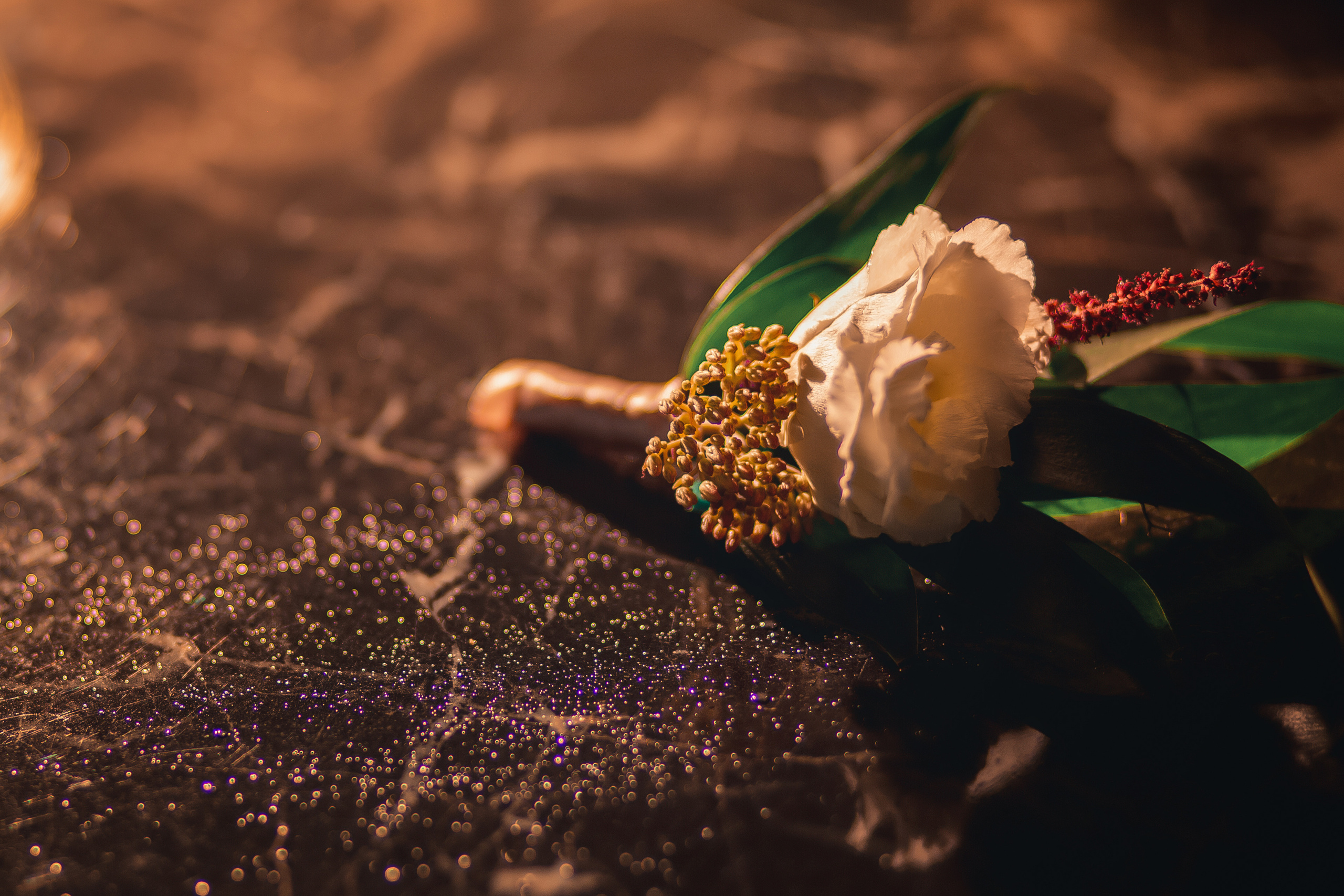 Свадебный фотограф Москва- Смоленск. Свадебный Церковный Семейный фотограф Светлана Былова Москва- Смоленск